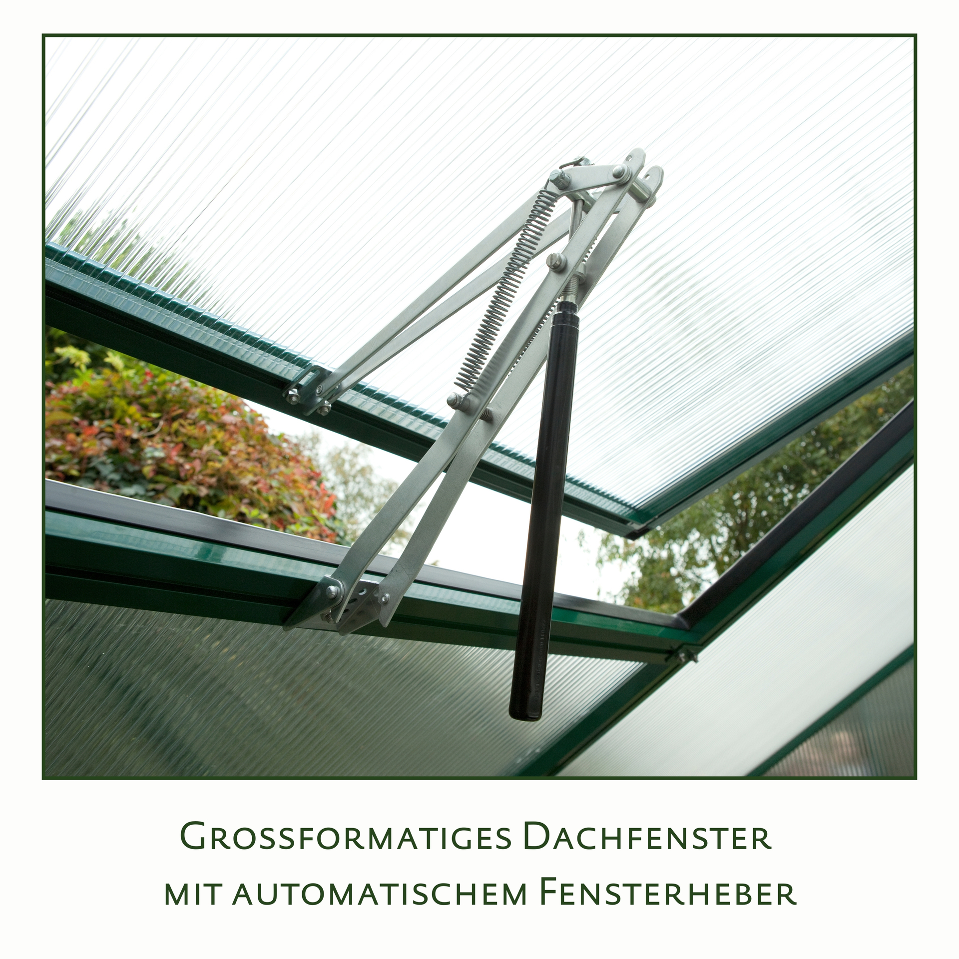 Gewächshaus Iris bei leitermann.de günstig kaufen Gewächshaus Iris