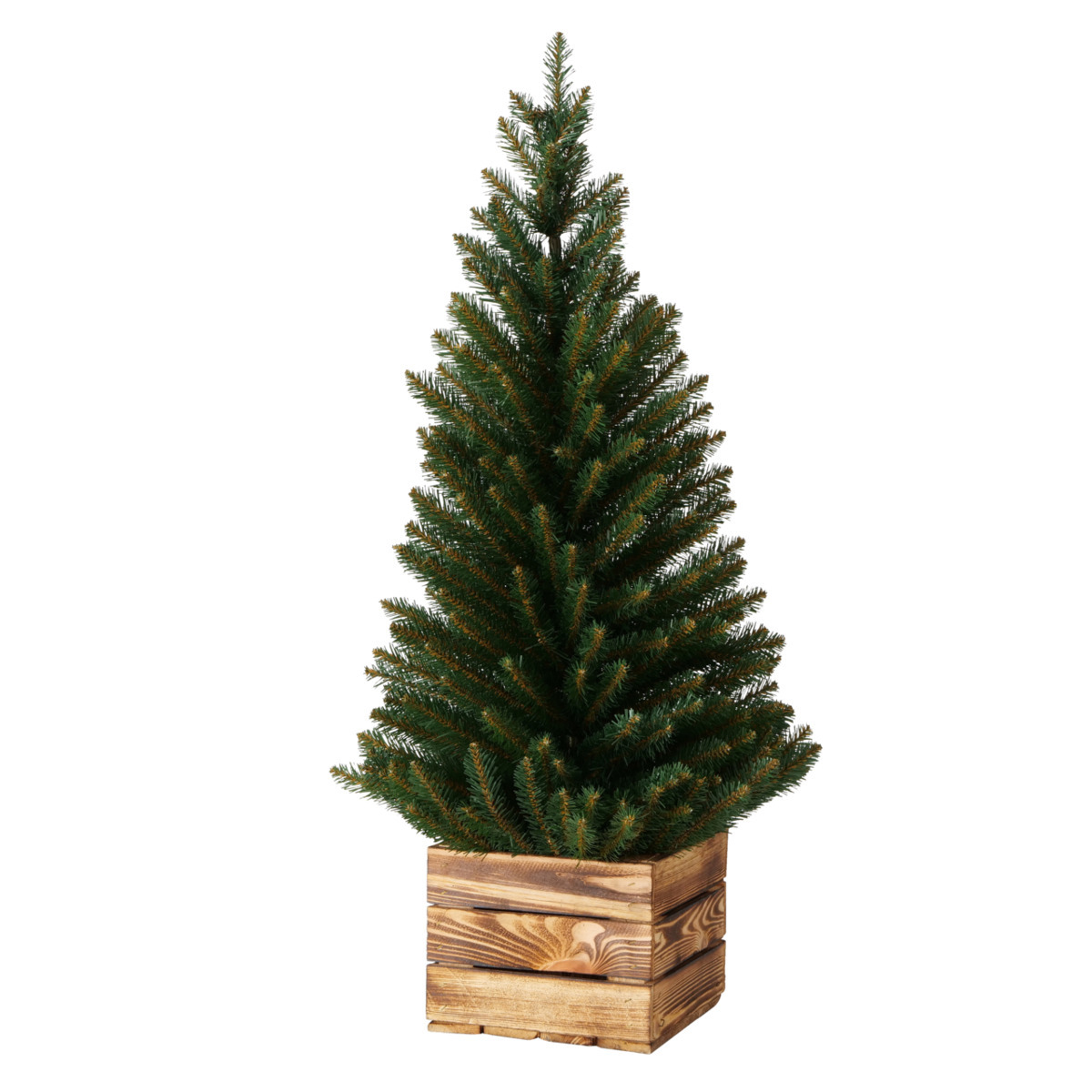 Weihnachtsbaum Kajus bei leitermann.de günstig kaufen Weihnachtsbaum Kajus