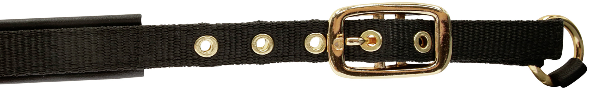 Fohlenhalfter TopLine bei leitermann.de günstig kaufen Fohlenhalfter TopLine