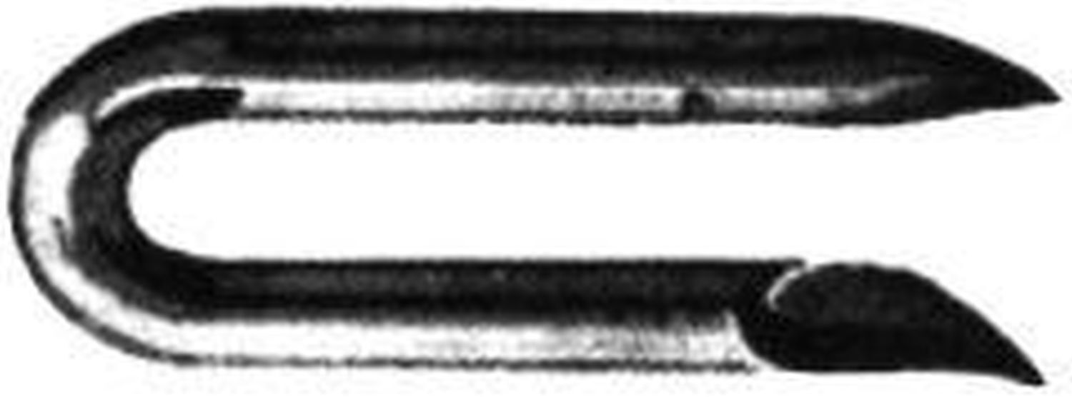 Schlaufe verzinkt 1,6x 16 a 1,0kg