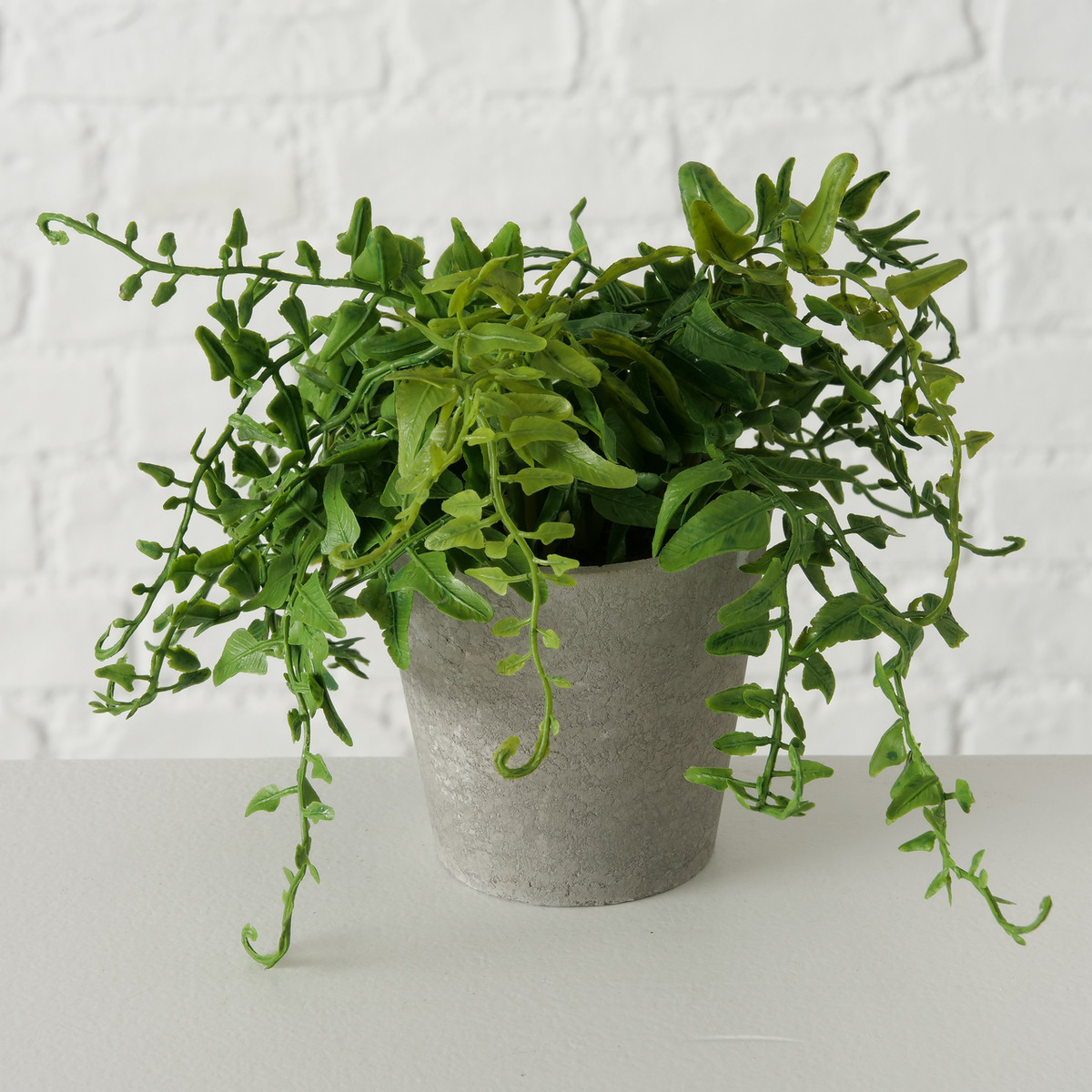 Topfpflanze 3-fach sortiert