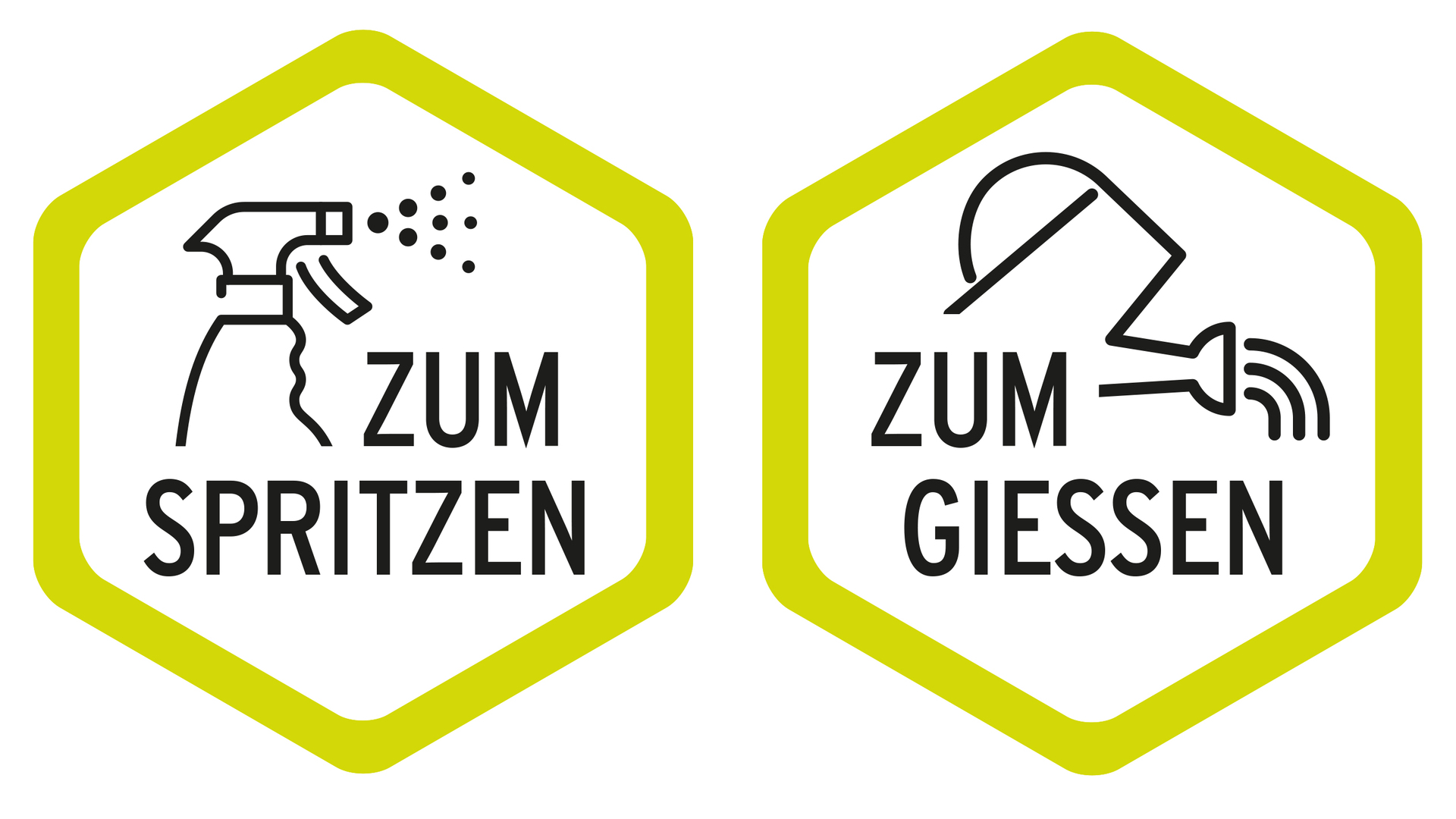 Thuja Vital bei leitermann.de günstig kaufen Thuja Vital