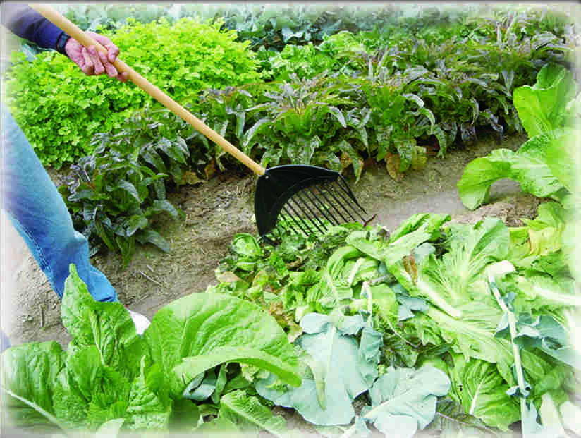 Kunststoff-Laubgabel