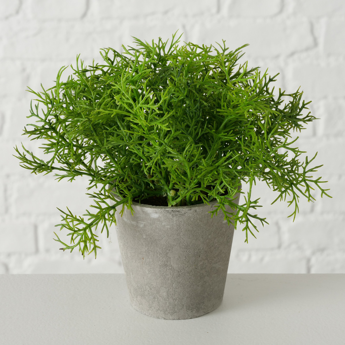 Topfpflanze 3-fach sortiert