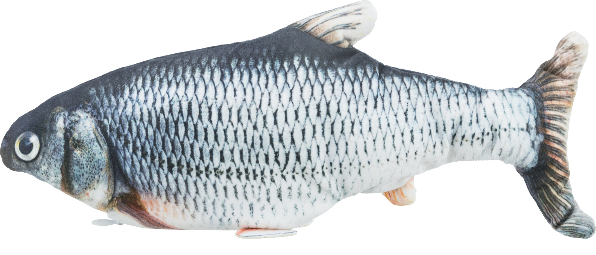 Zappelfisch bei leitermann.de günstig kaufen Zappelfisch