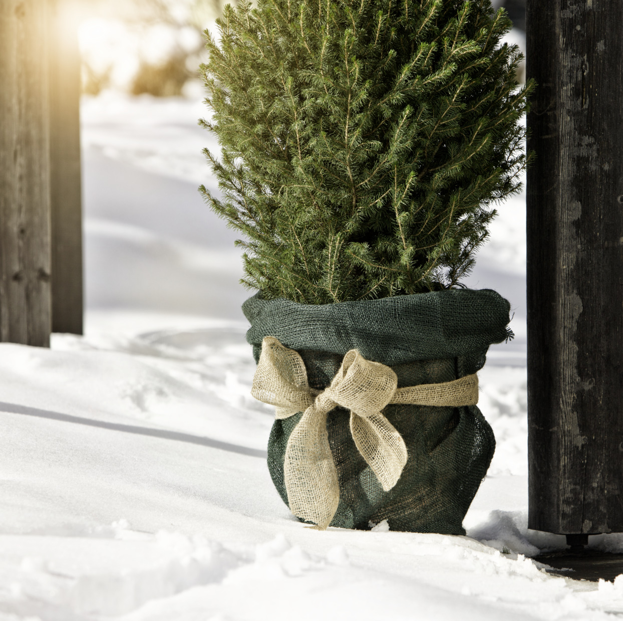 Jute-Wickelstreifen bei leitermann.de günstig kaufen Jute-Wickelstreifen