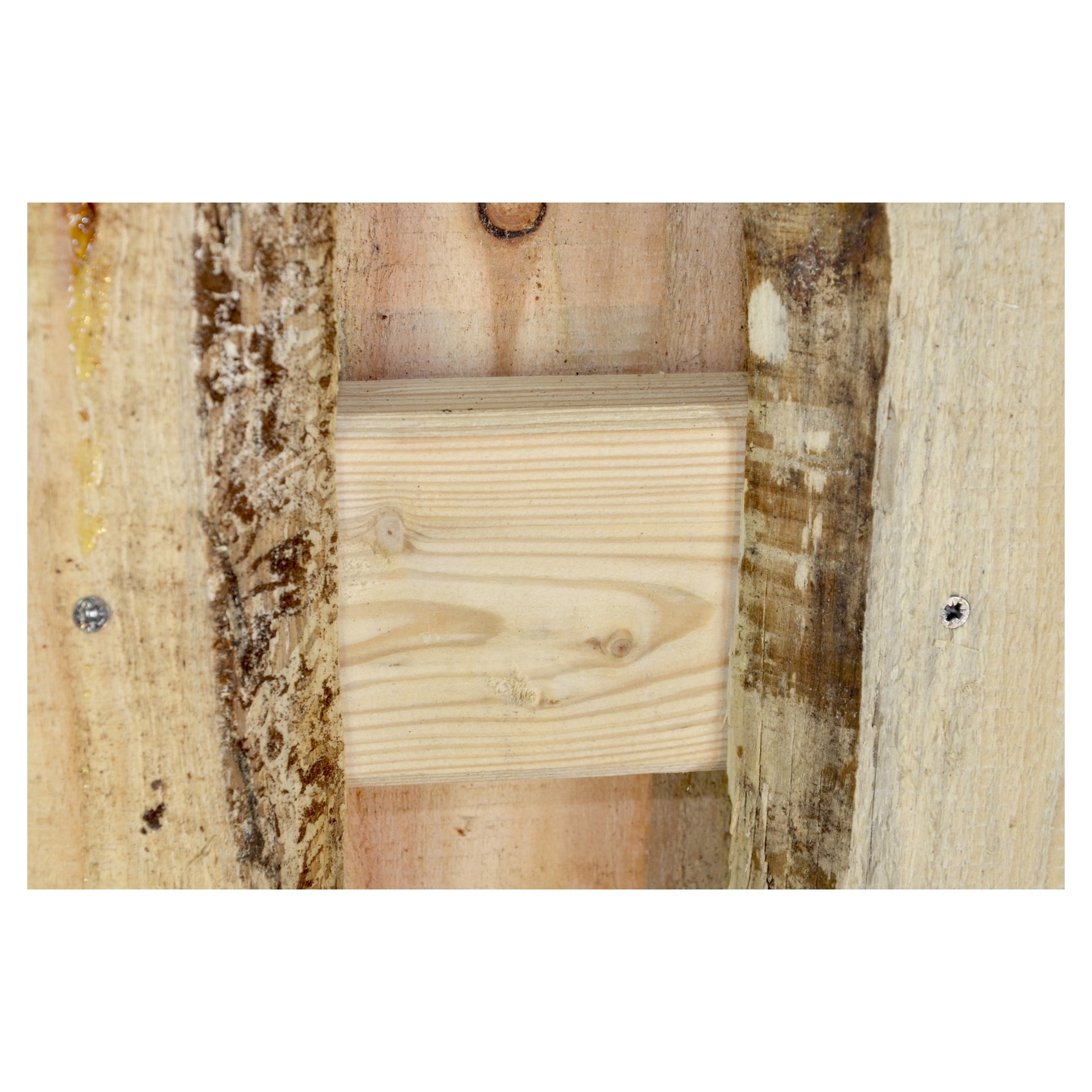 LANGELAND-Serie Lärche 180x180 cm