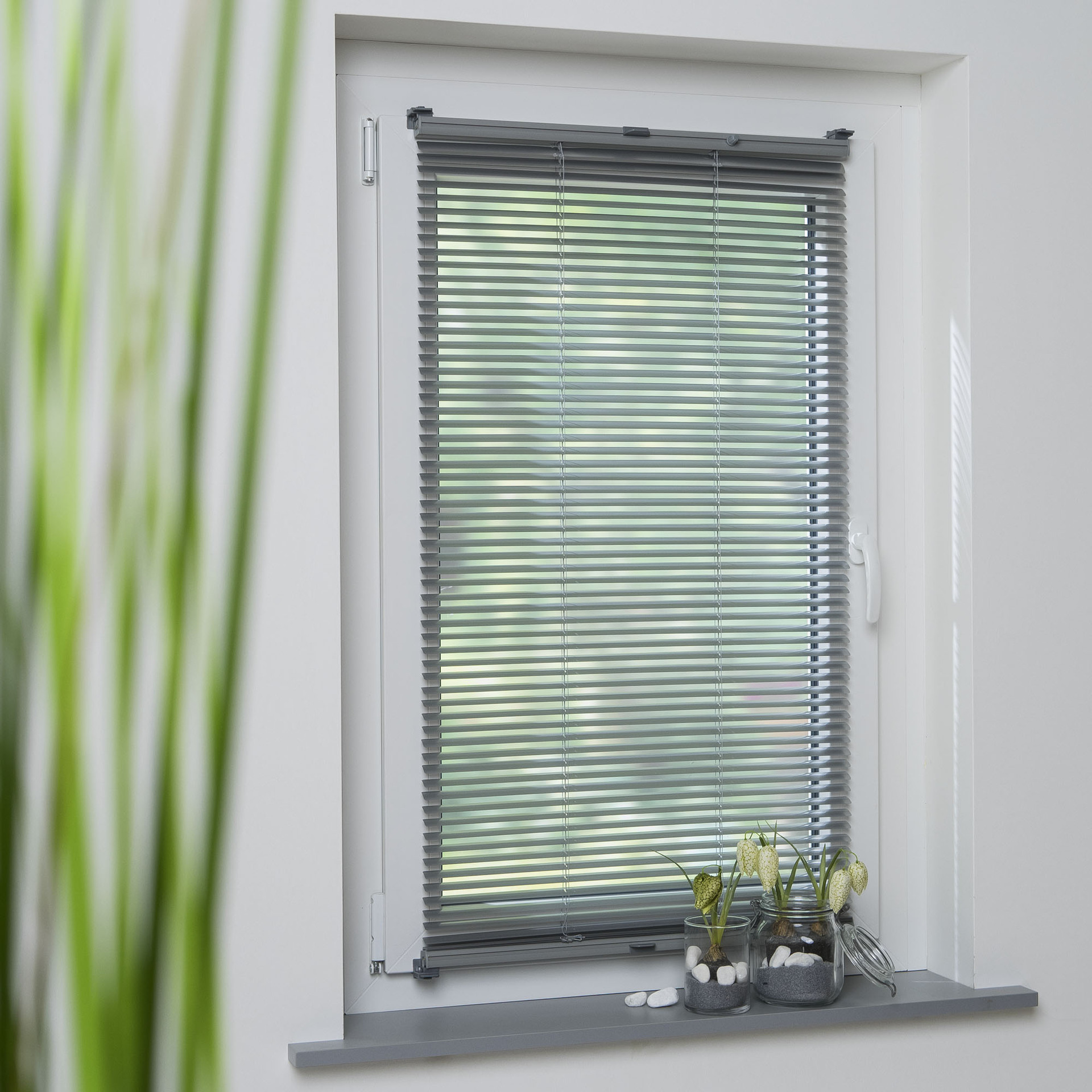 Klemmfix-Jalousie verspannt bei leitermann.de günstig kaufen Klemmfix-Jalousie verspannt