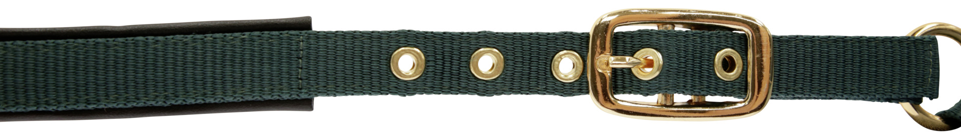 Fohlenhalfter TopLine