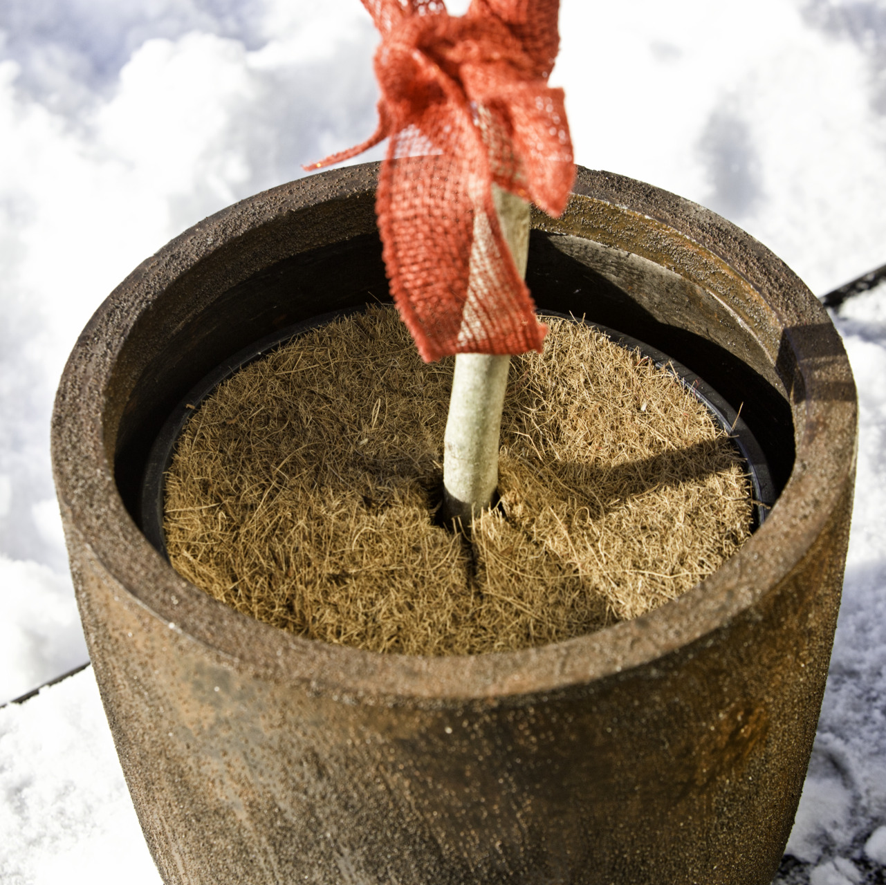 Mulchscheibe Cocodisc