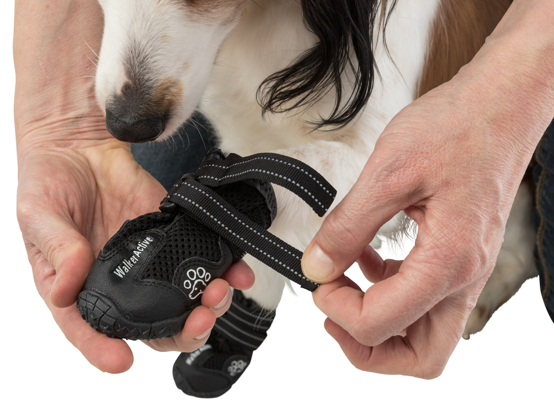 Pfotenschutz Walker Active bei leitermann.de günstig kaufen Pfotenschutz Walker Active