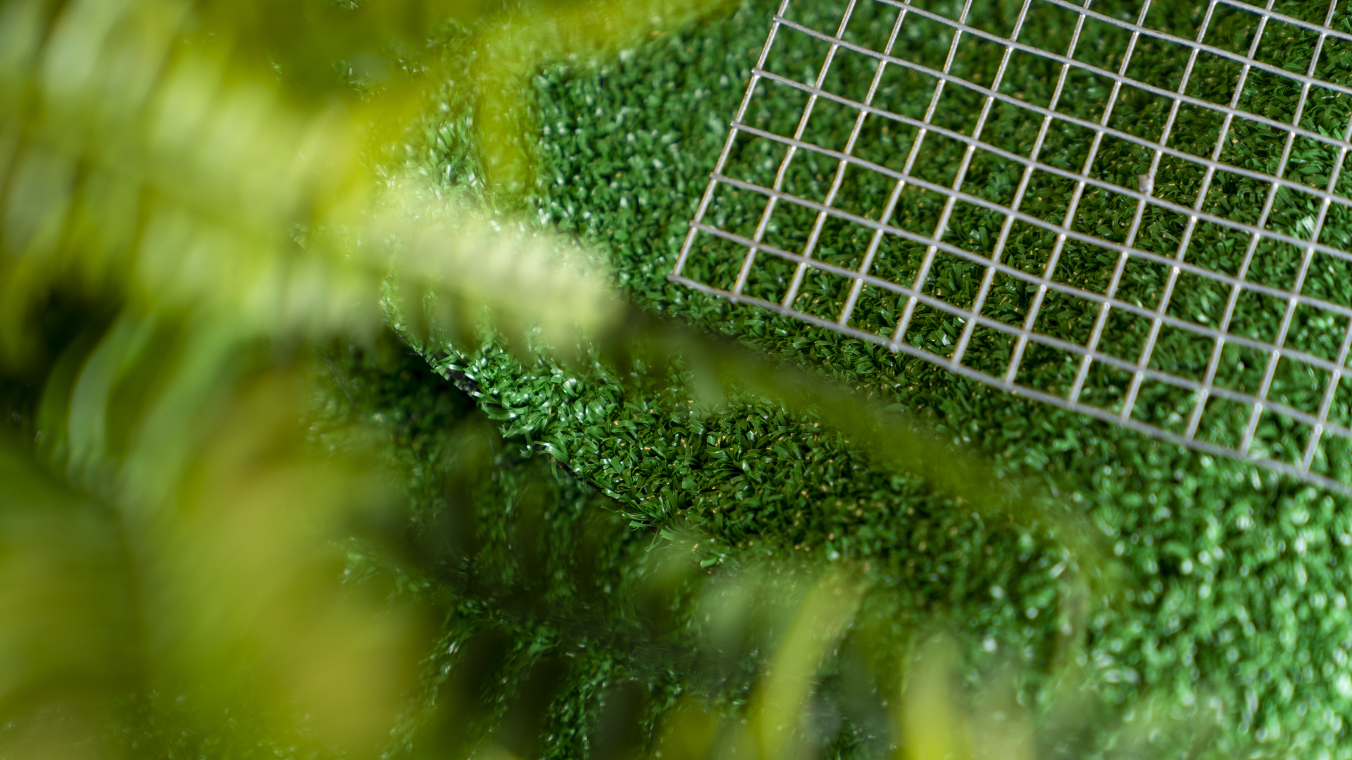 Drahtgeflecht Draneo für Hochbeet