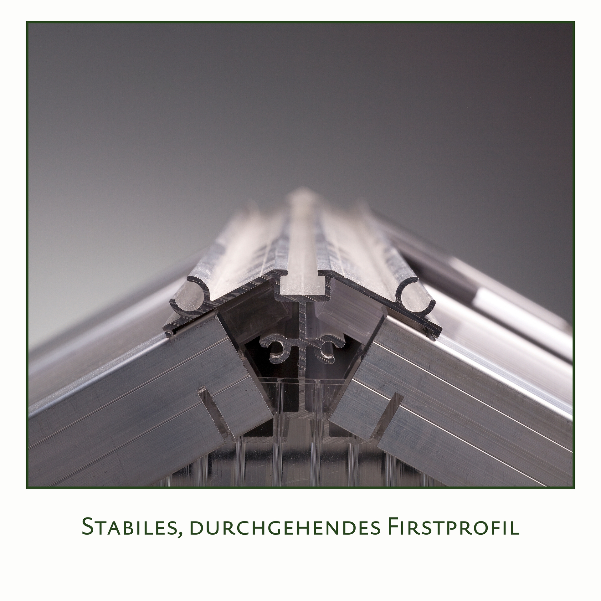 Gewächshaus Iris bei leitermann.de günstig kaufen Gewächshaus Iris