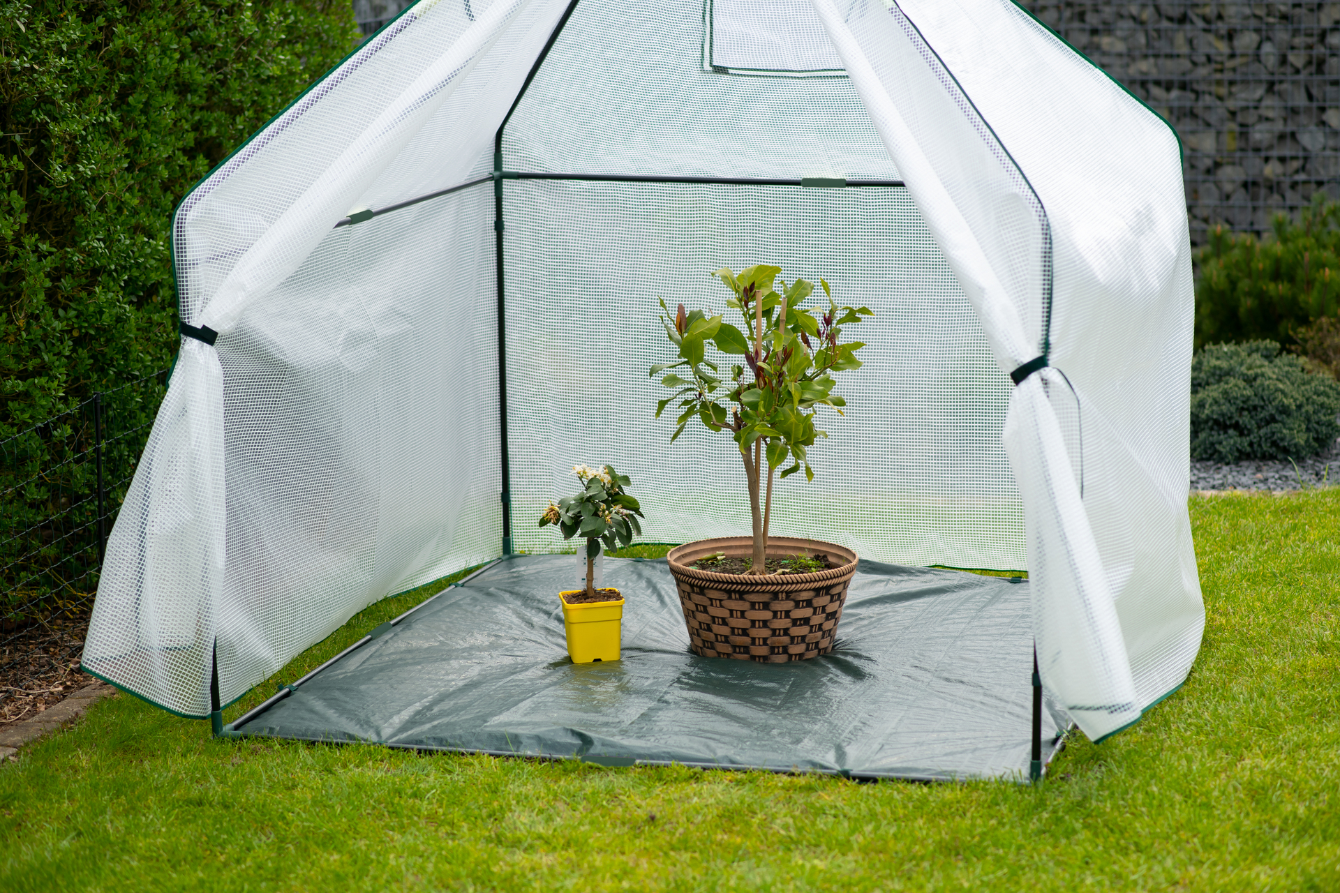 Foliengewächshaus Winterzelt mit Boden Peperoni bei leitermann.de günstig kaufen Foliengewächshaus Winterzelt mit Boden Peperoni