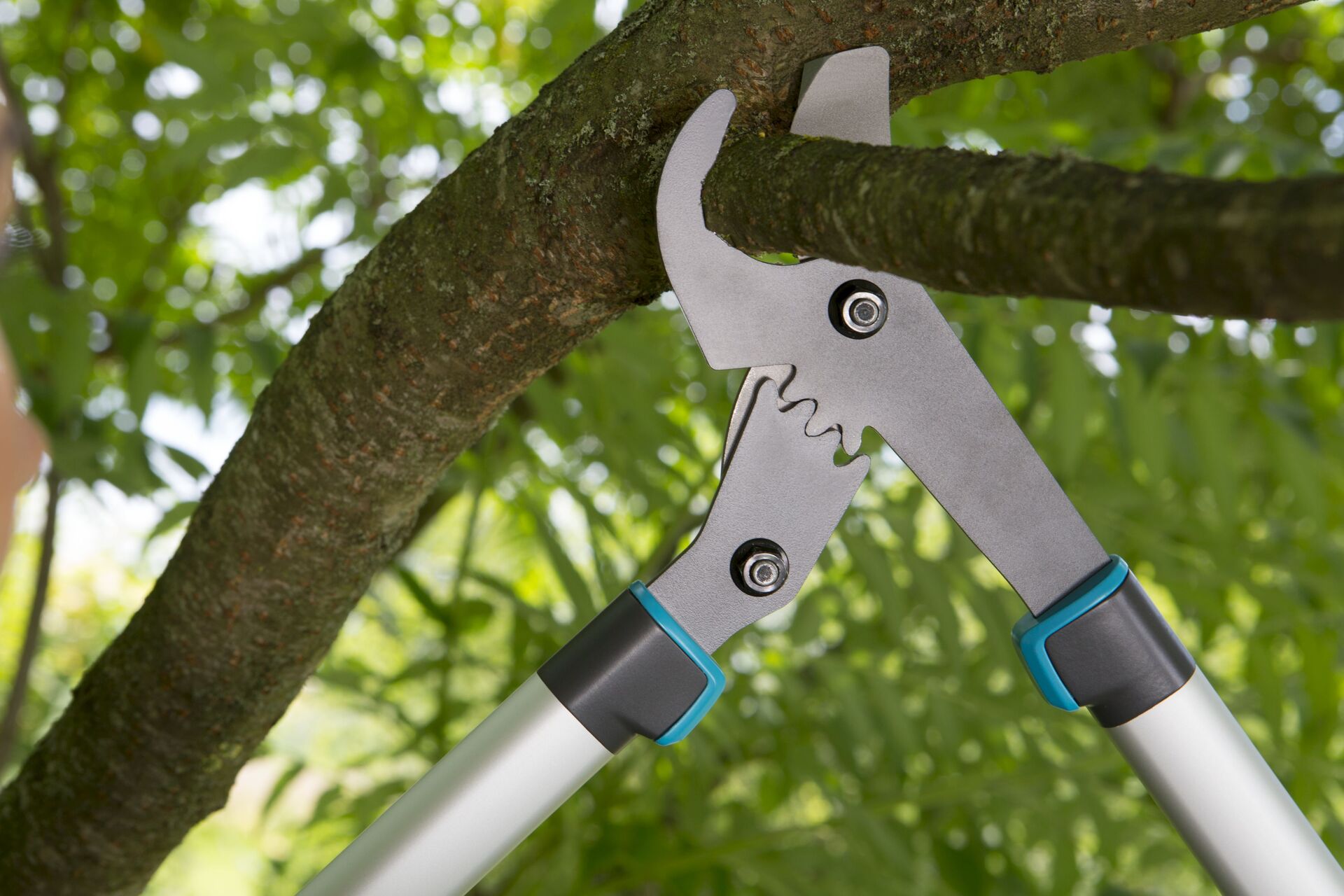 Astschere EnergyCut 750 B bei leitermann.de günstig kaufen Astschere EnergyCut 750 B