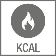 Shape Sense Control 200