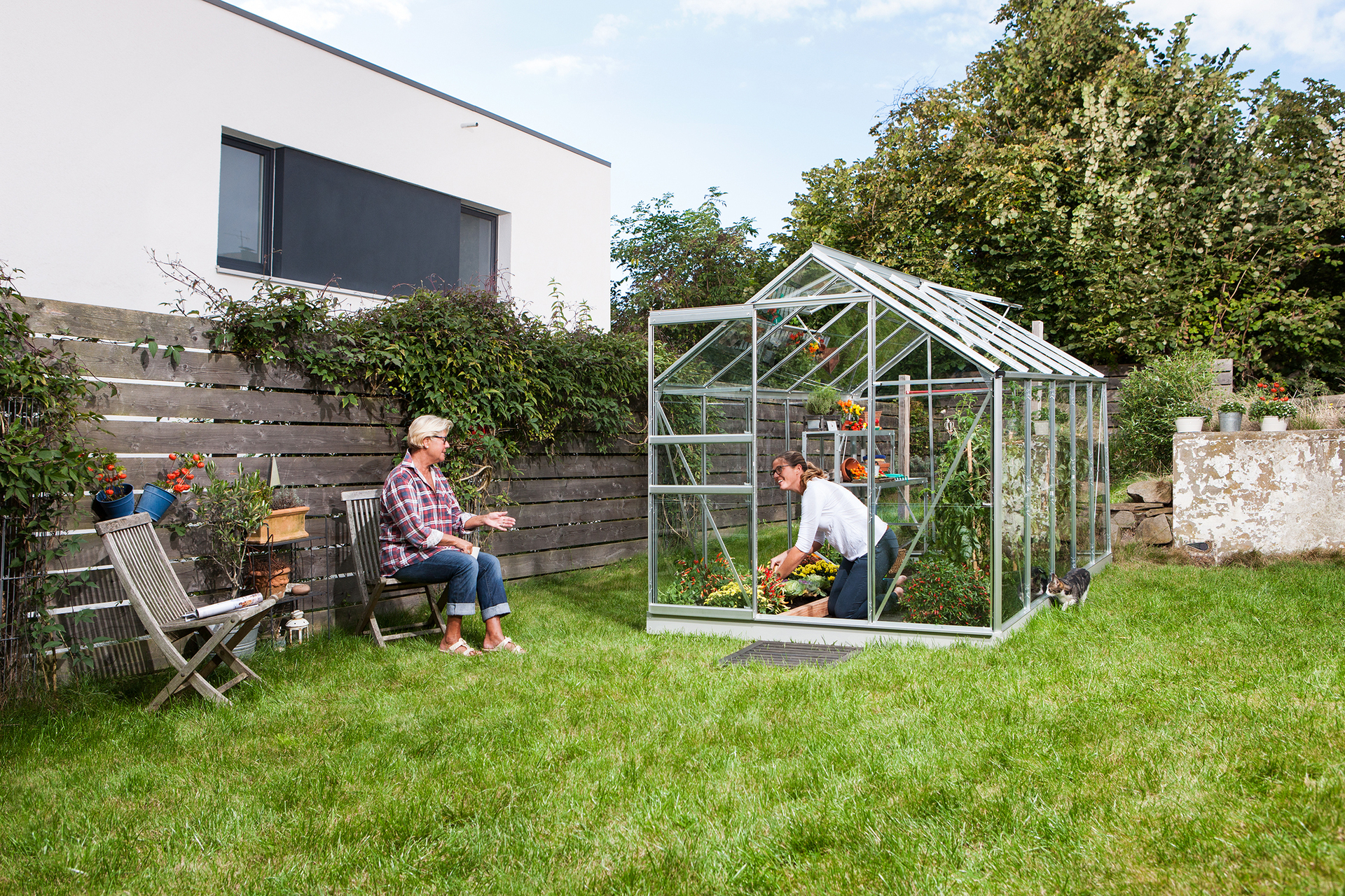 Gewächshaus Venus 6200