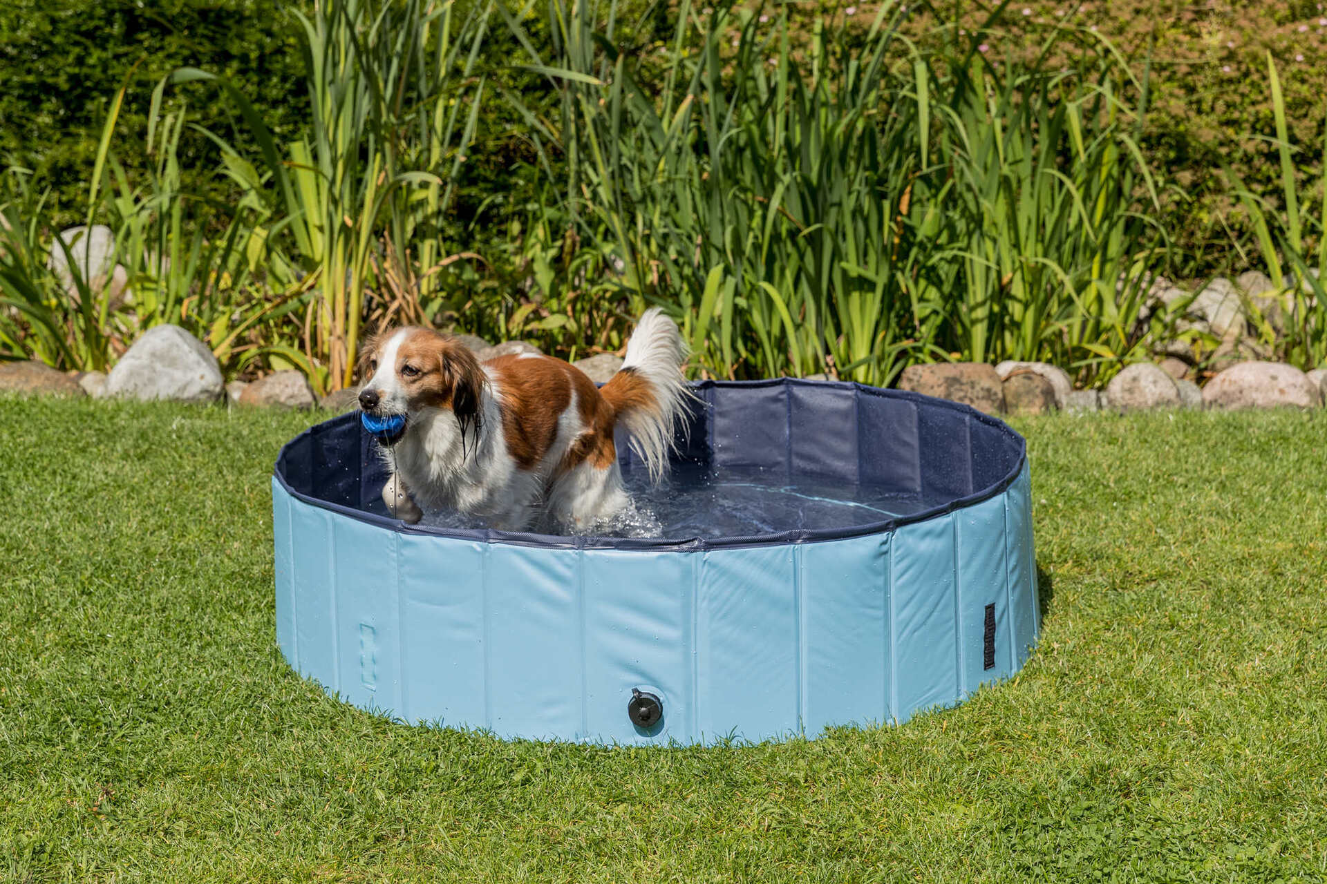 Hundepool bei leitermann.de günstig kaufen Hundepool