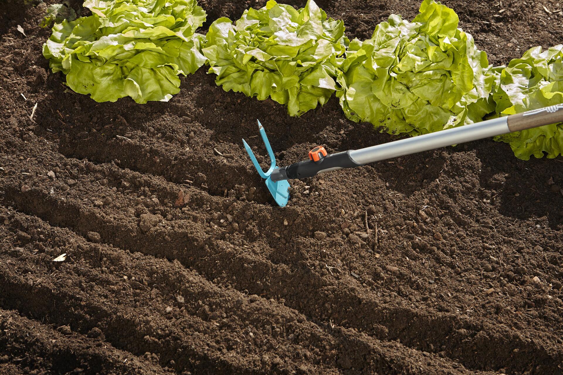 cs-Gartenhacke, herz. Blatt, 2 Zinken, 7 cm breit