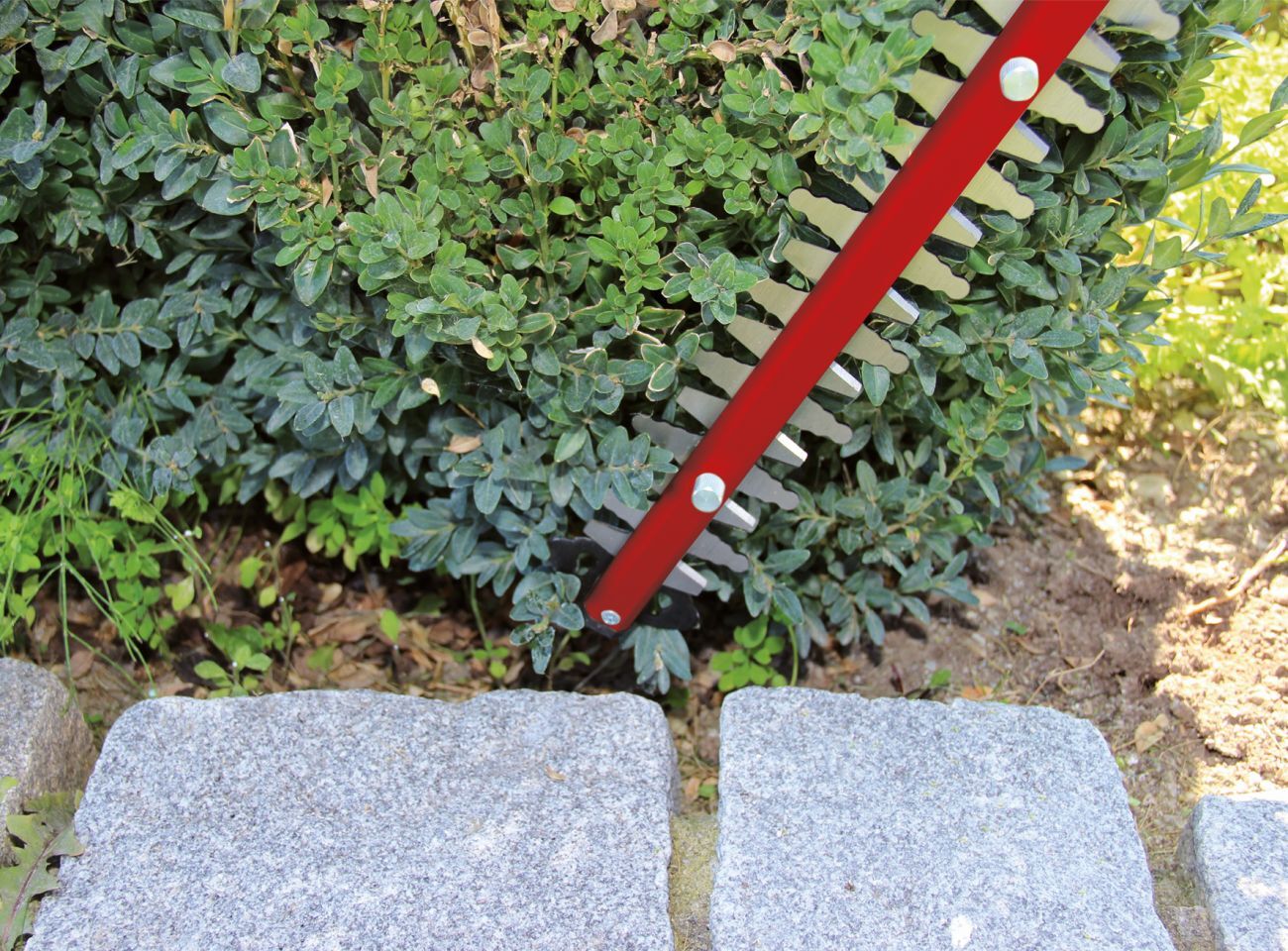 Elektro-Heckenschere GC-EH 6055-1 bei leitermann.de günstig kaufen Elektro-Heckenschere GC-EH 6055-1