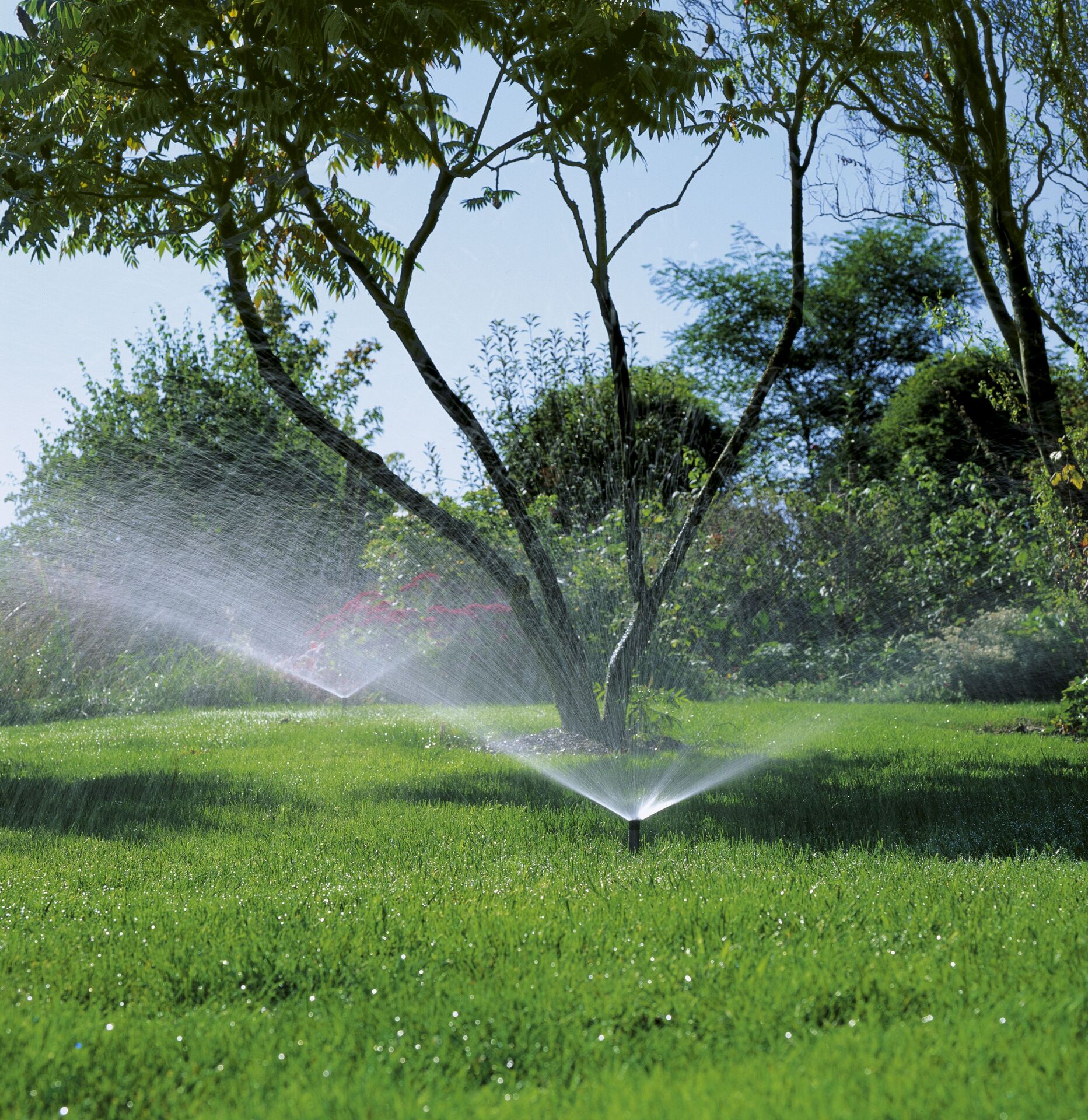 Sprinklersystem Versenkregner S 80 bei leitermann.de günstig kaufen Sprinklersystem Versenkregner S 80