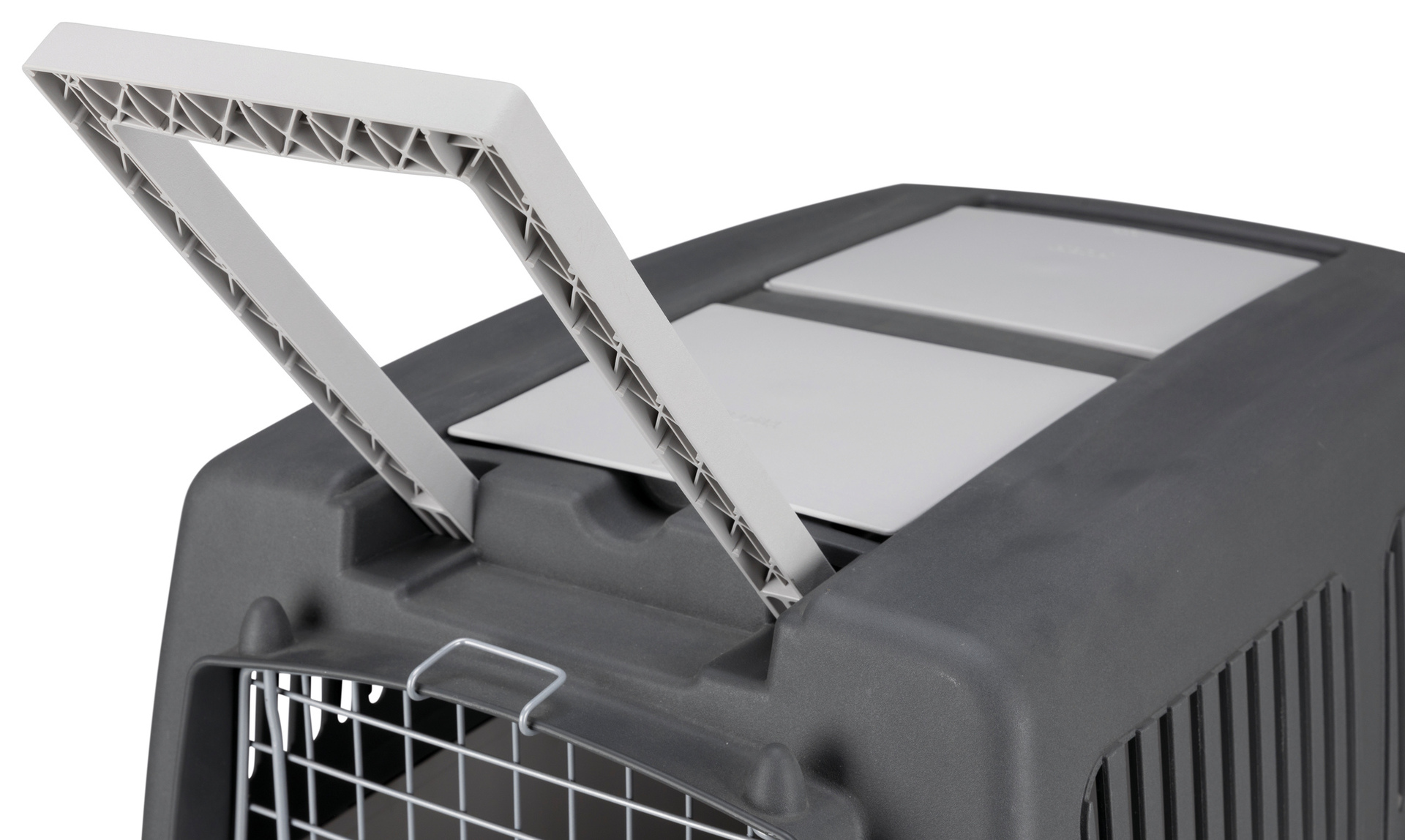 Transportbox Gulliver