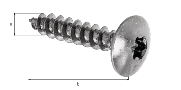 Holzschraube Maxi-Fix