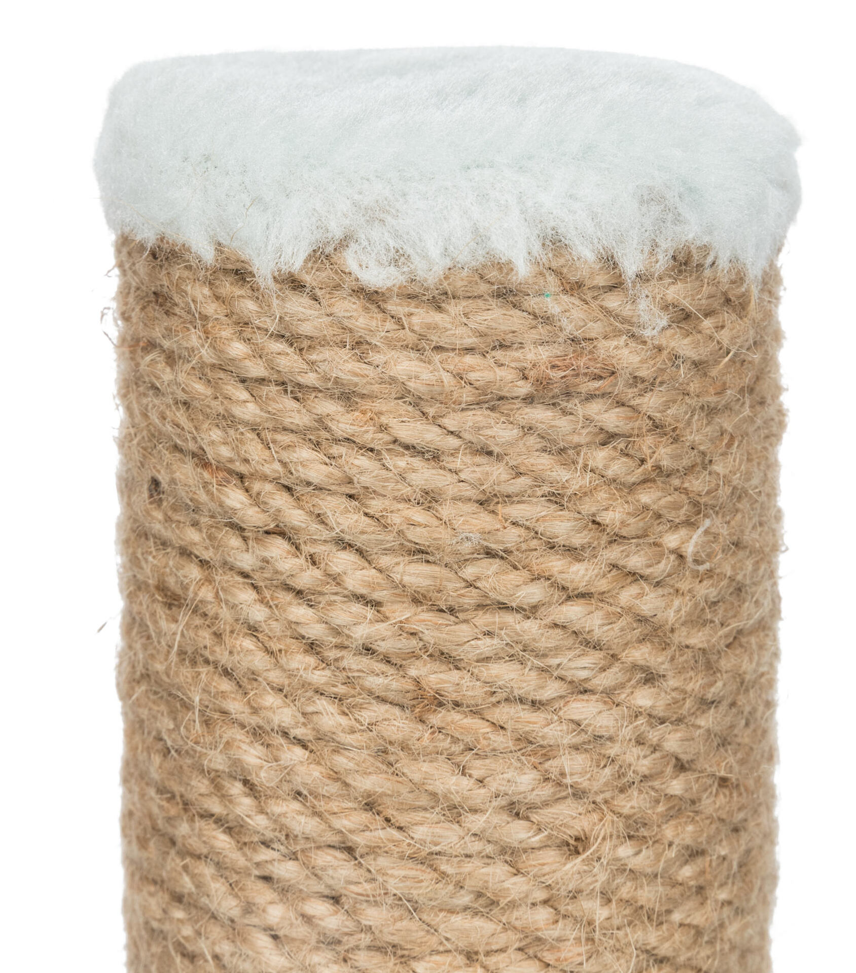 Junior Kratzstamm bei leitermann.de günstig kaufen Junior Kratzstamm