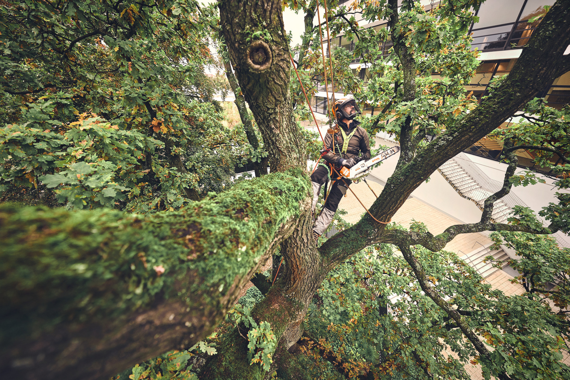 Akku-Kettensäge MSA 220