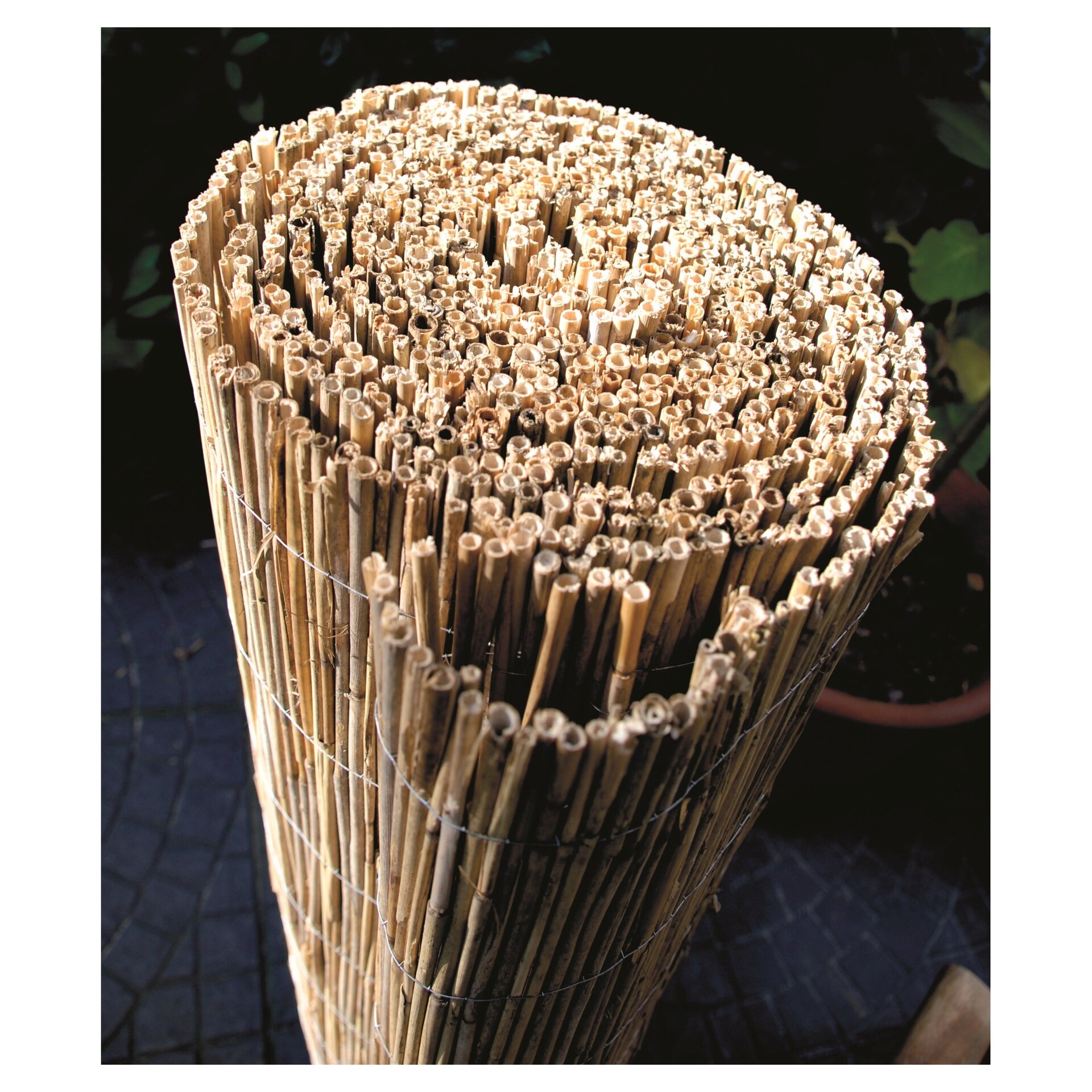 SYLT Schilfrohrmatte mit verzinktem Draht