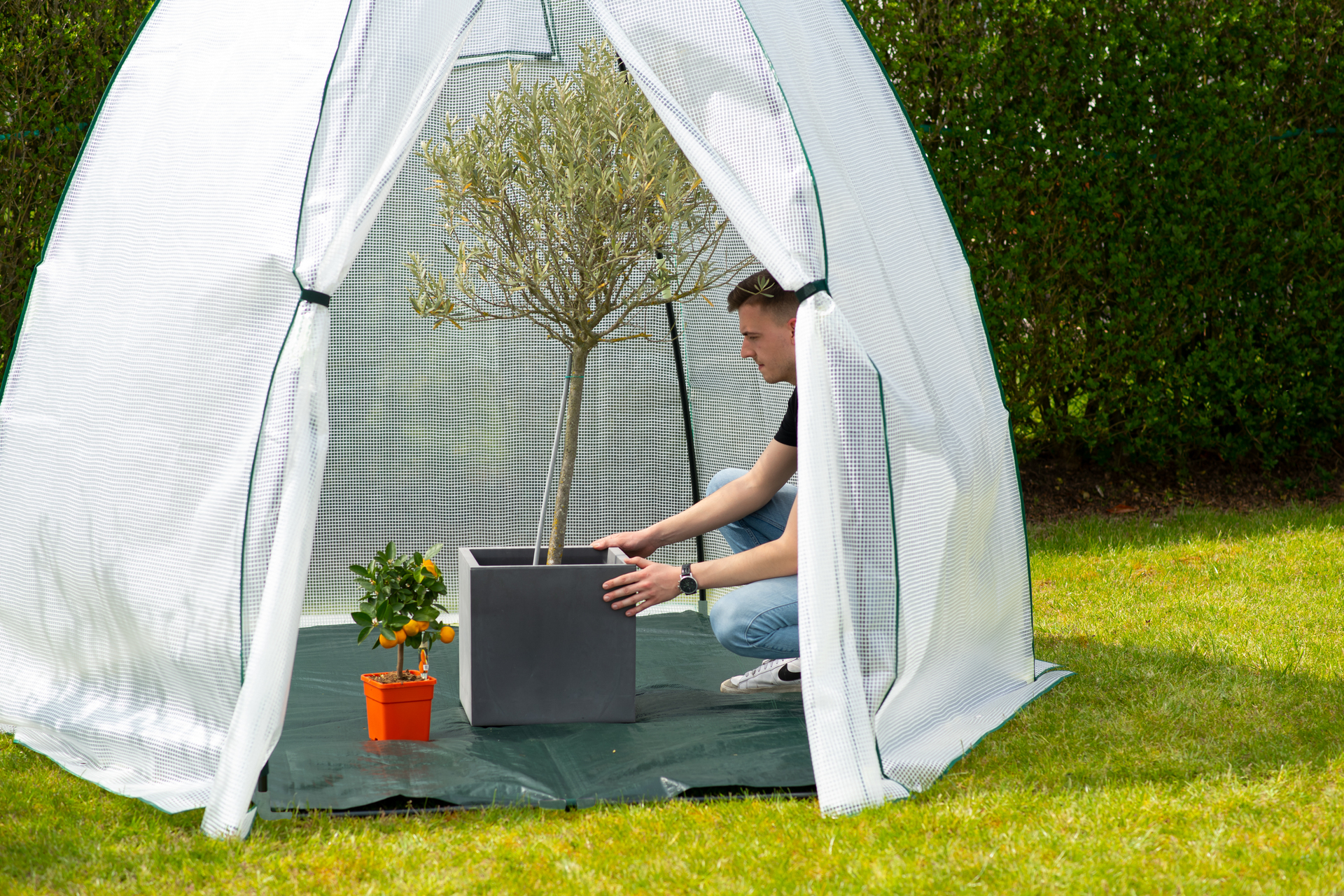 Foliengewächshaus Winterzelt Avocado