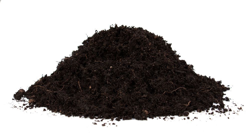 Floragard BIO AROMATISCH, für Kräuter und Aussaat torffrei