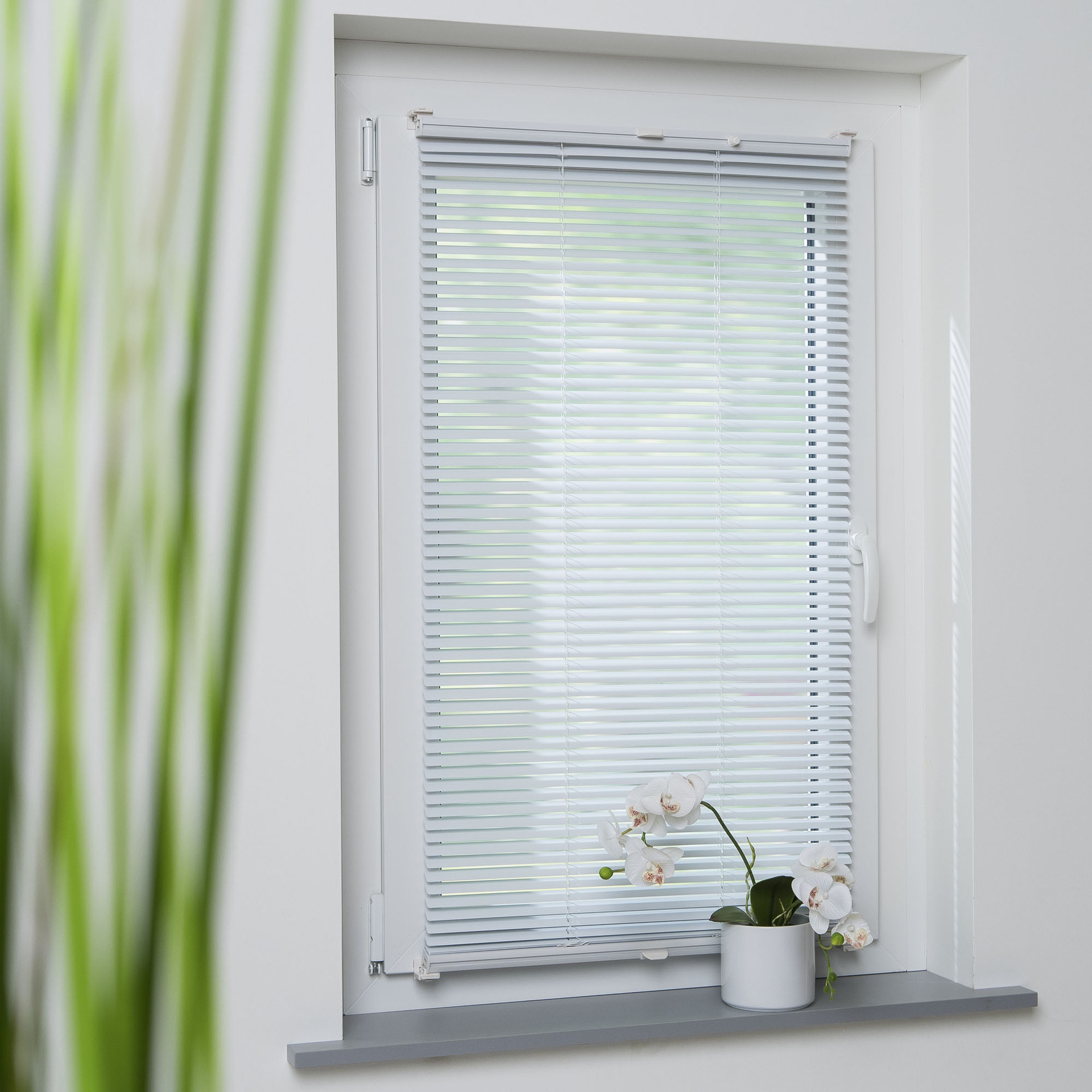 Klemmfix-Jalousie verspannt bei leitermann.de günstig kaufen Klemmfix-Jalousie verspannt