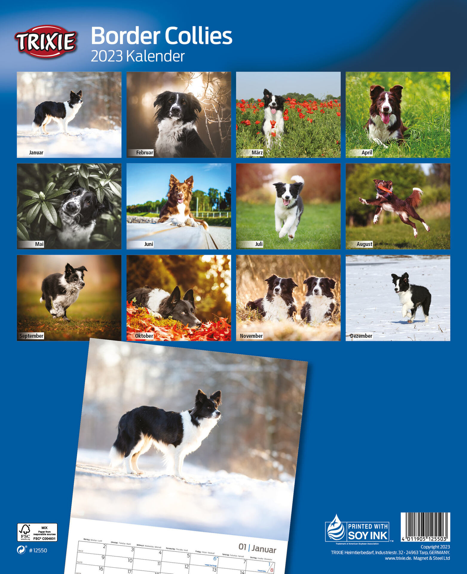 Kalender Border Collies