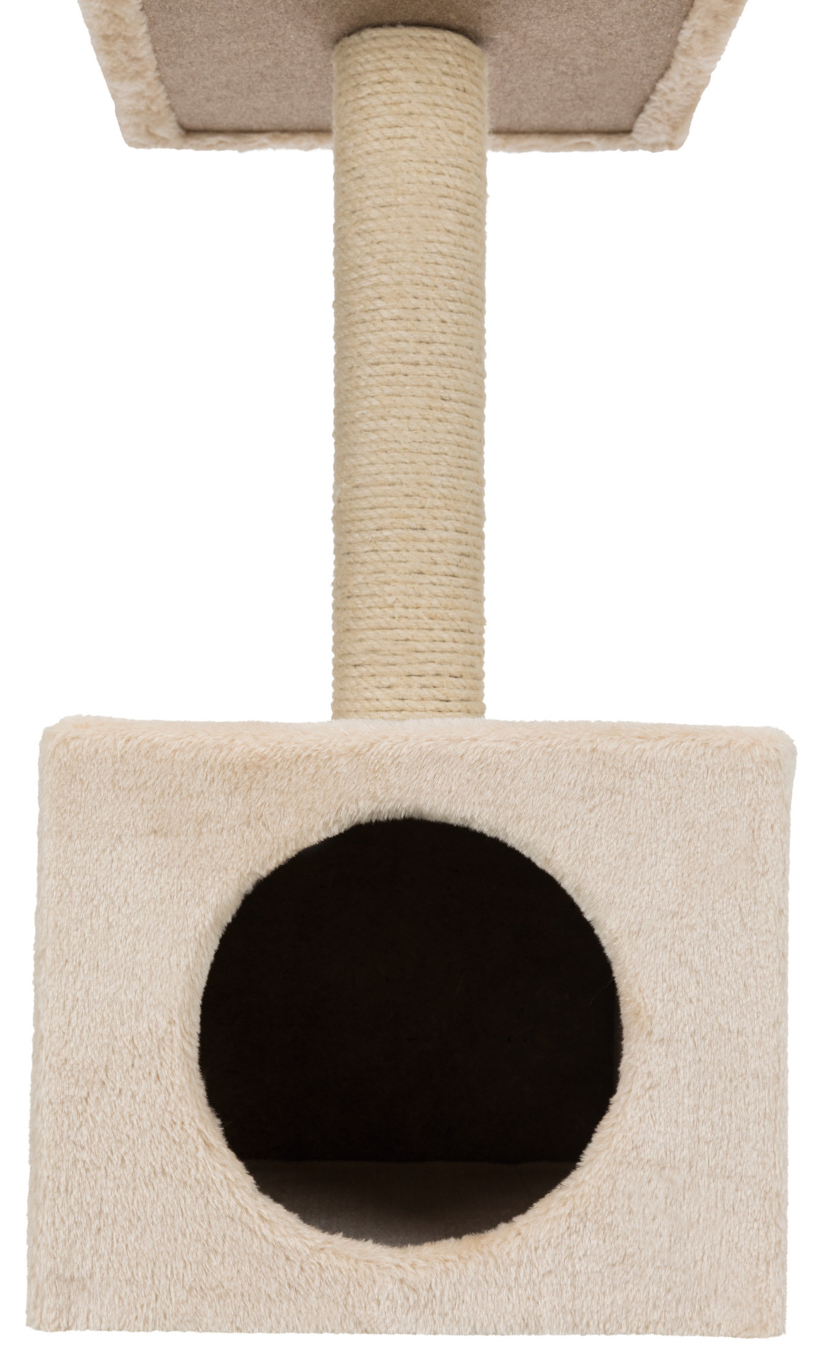 Junior Kratzbaum Zamora