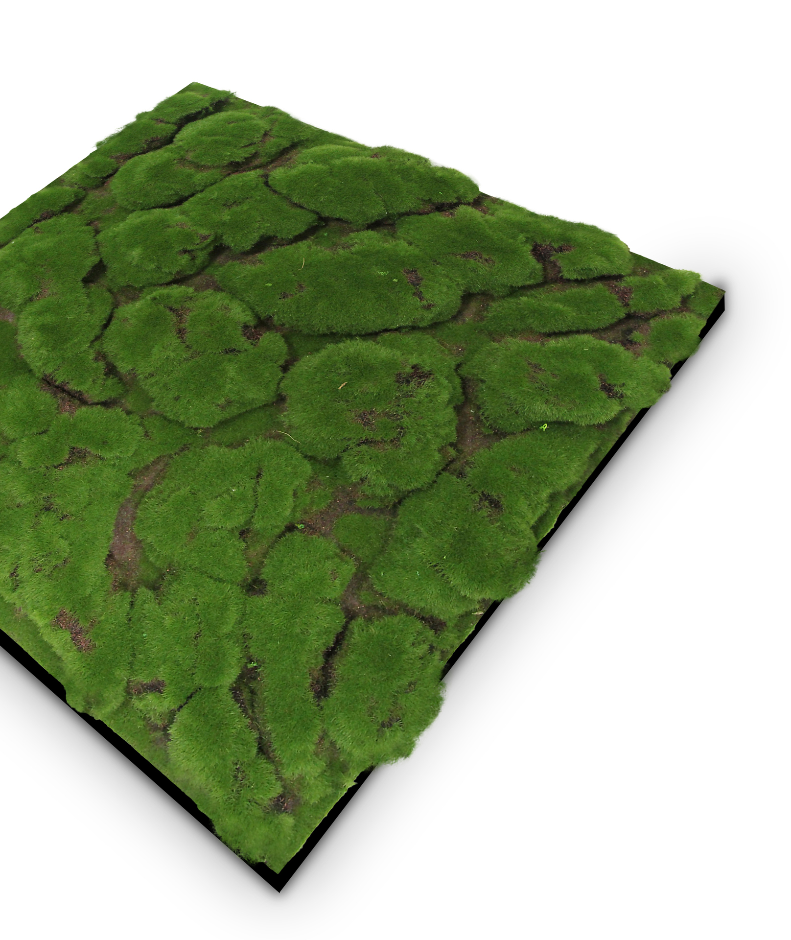 Wandpaneel Modular Wall Flora