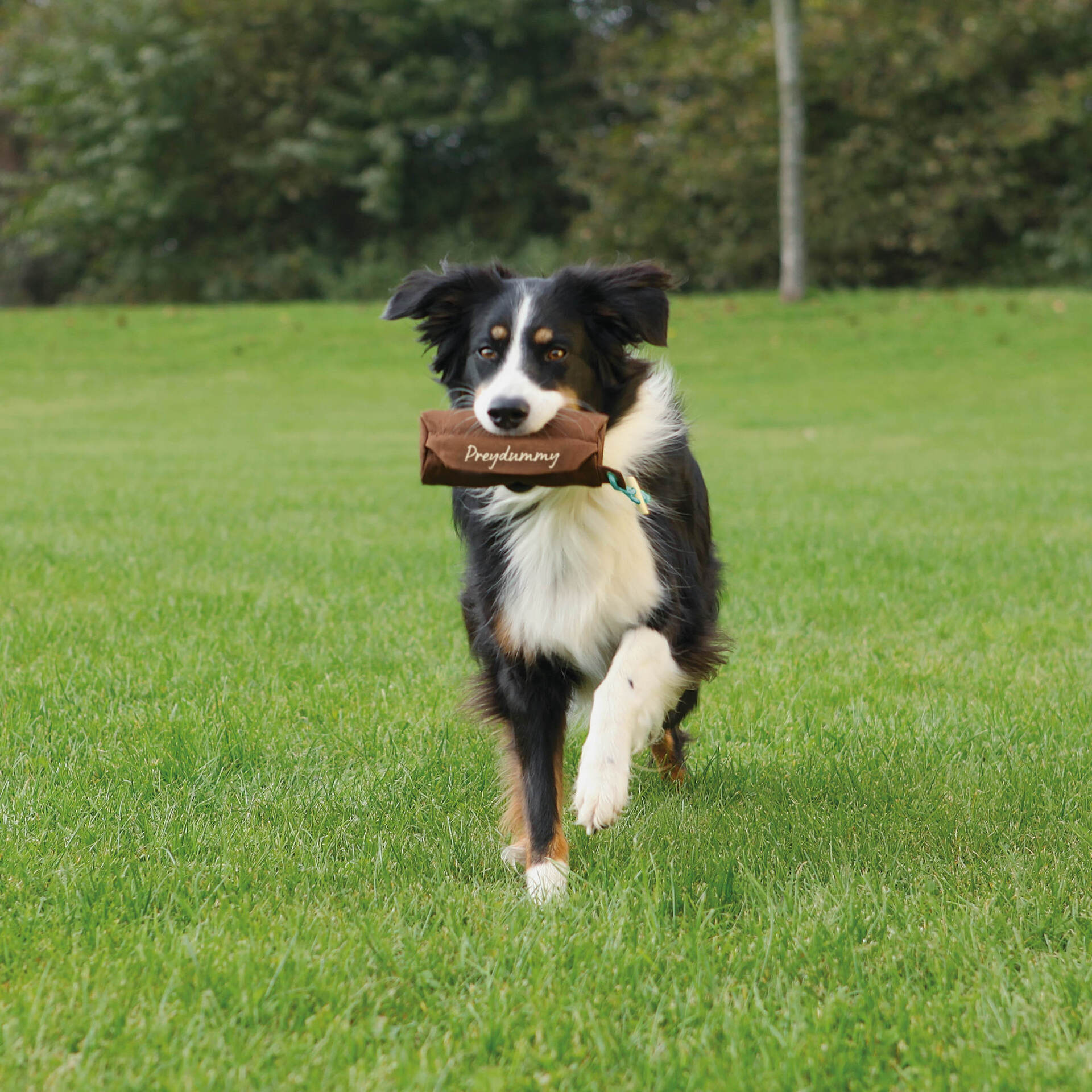 Preydummy Canvas Ø7x18cm