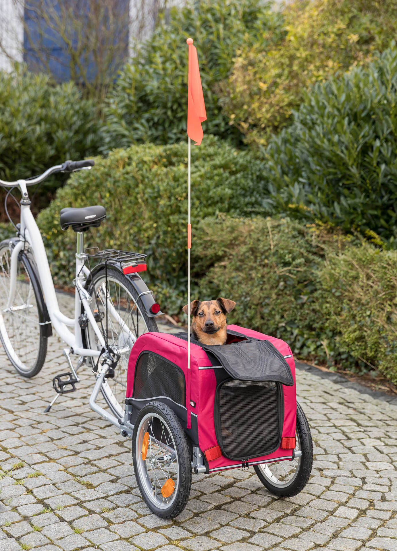 Hundefahrradanhänger bei leitermann.de günstig kaufen Hundefahrradanhänger