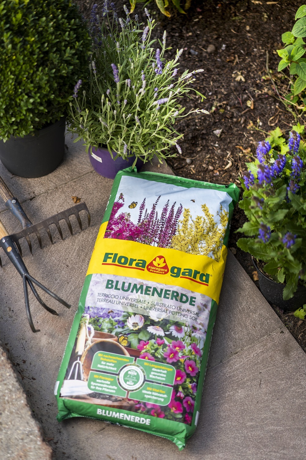 Blumenerde 20L + 40% gratis bei leitermann.de günstig kaufen Blumenerde 20L + 40% gratis