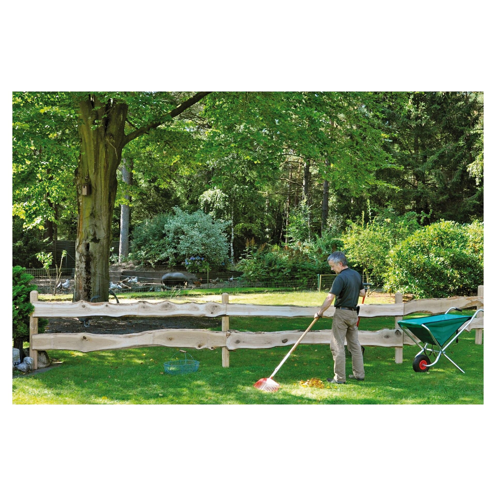 MATTEO-Bonanza-Brett Eiche 240 lang bei leitermann.de günstig kaufen MATTEO-Bonanza-Brett Eiche 240 lang