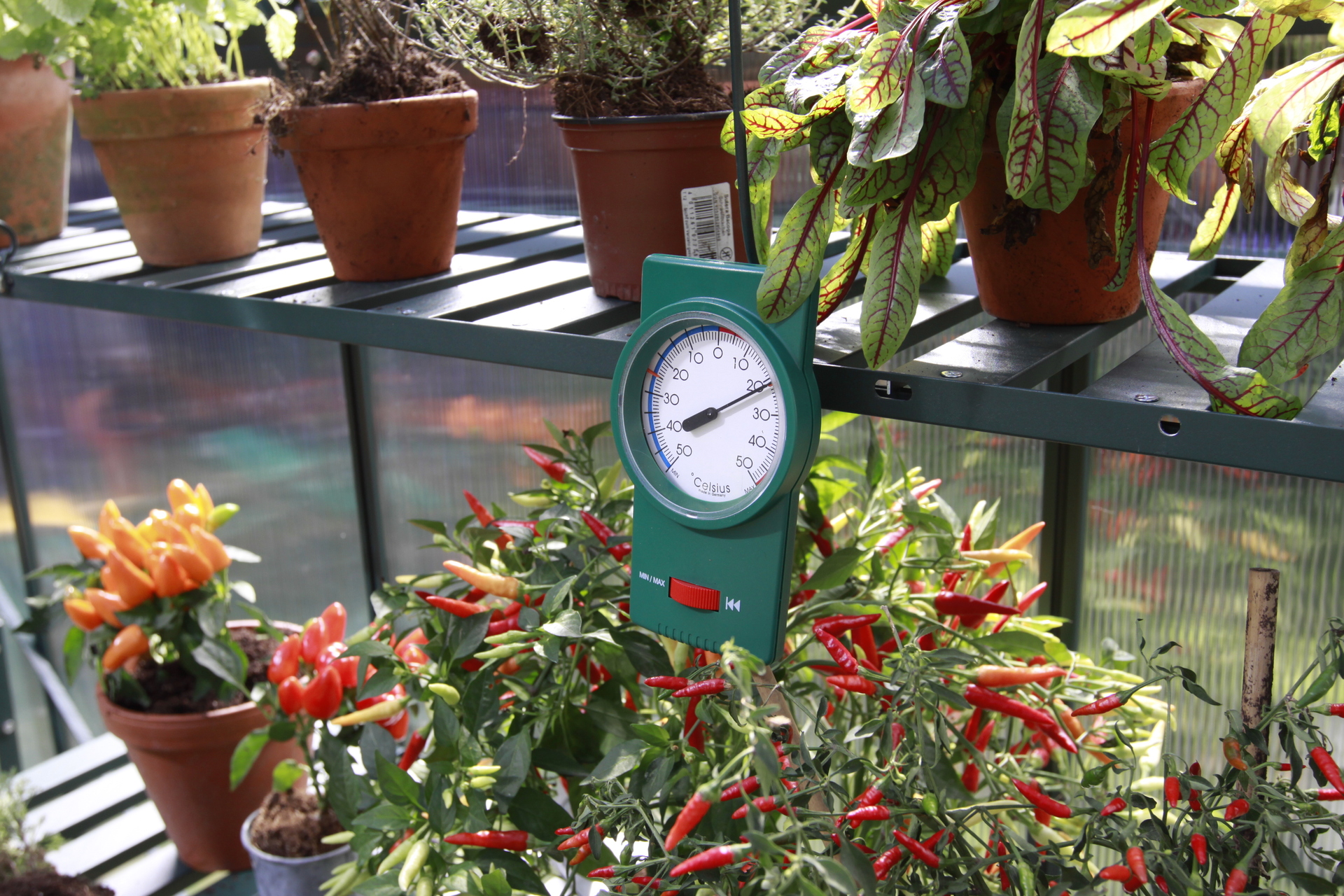 Min-Max-Thermometer bei leitermann.de günstig kaufen Min-Max-Thermometer