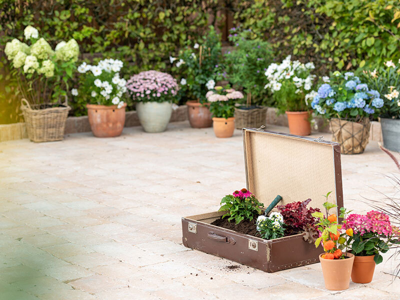 Pflasterstein Antik, gekantet bei leitermann.de günstig kaufen Pflasterstein Antik, gekantet