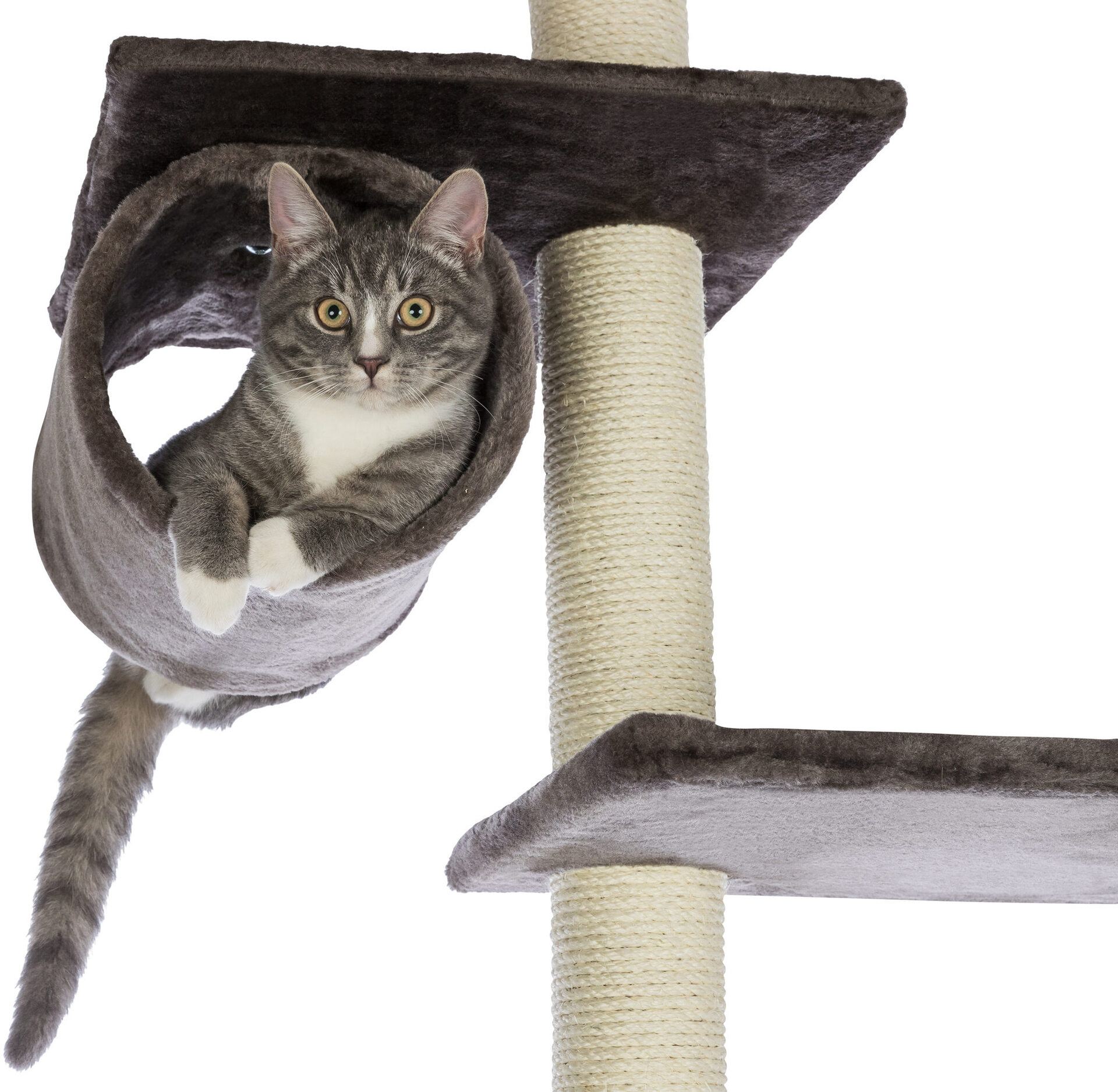 Kratzbaum Madrid, deckenhoch