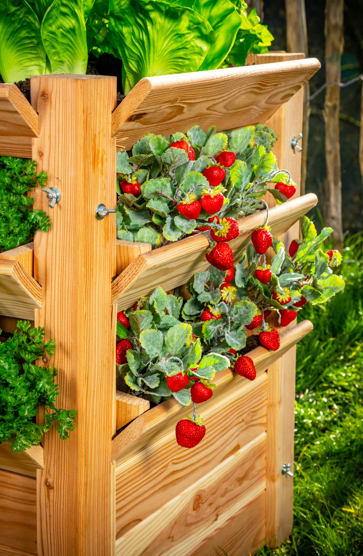 Premium Hochbeet bei leitermann.de günstig kaufen Premium Hochbeet