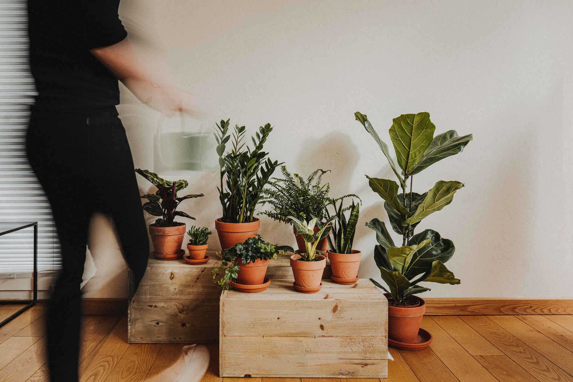 Floragard Vermiculite