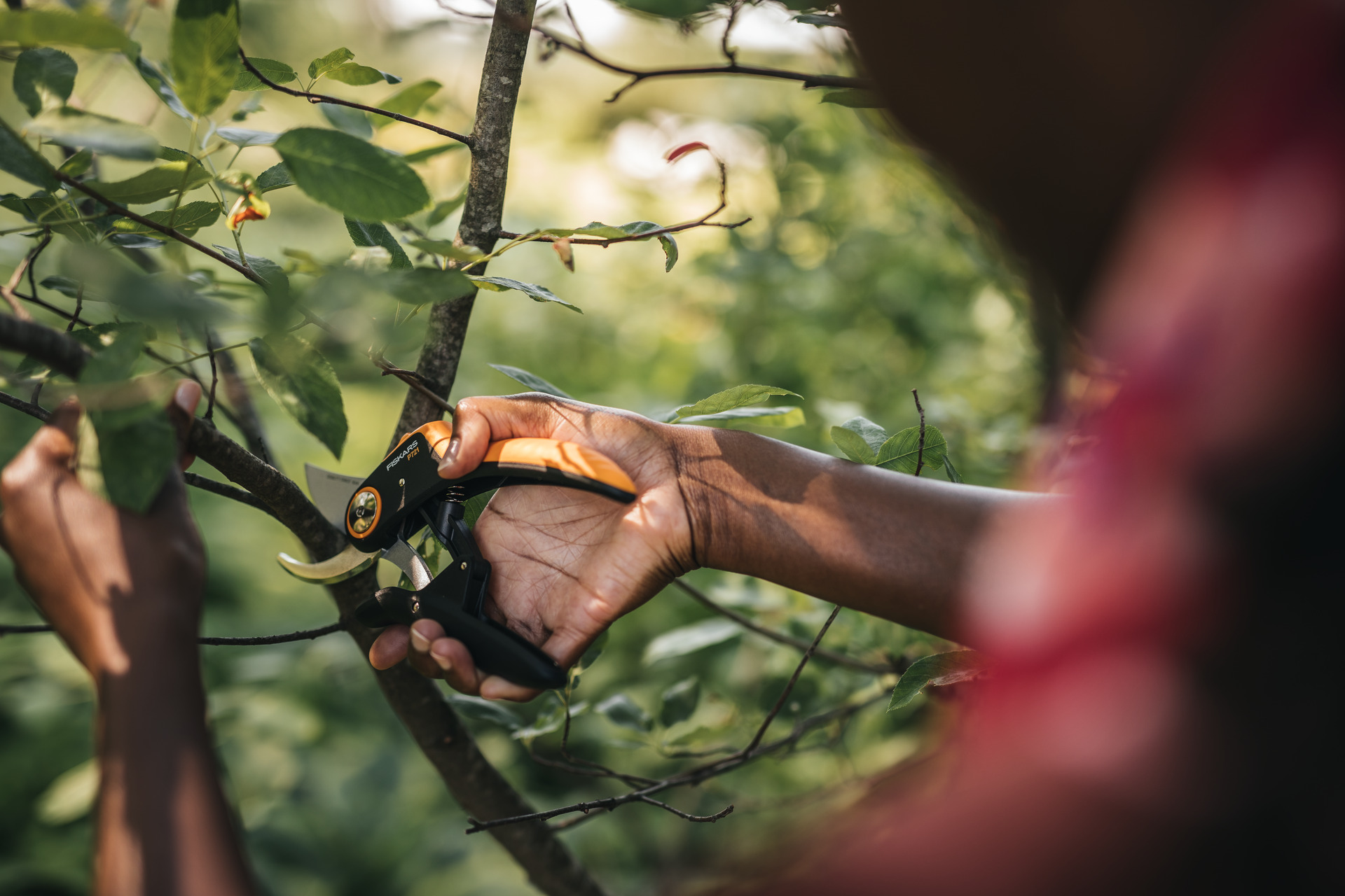 Plus Bypass-Gartenschere P721 bei leitermann.de günstig kaufen Plus Bypass-Gartenschere P721