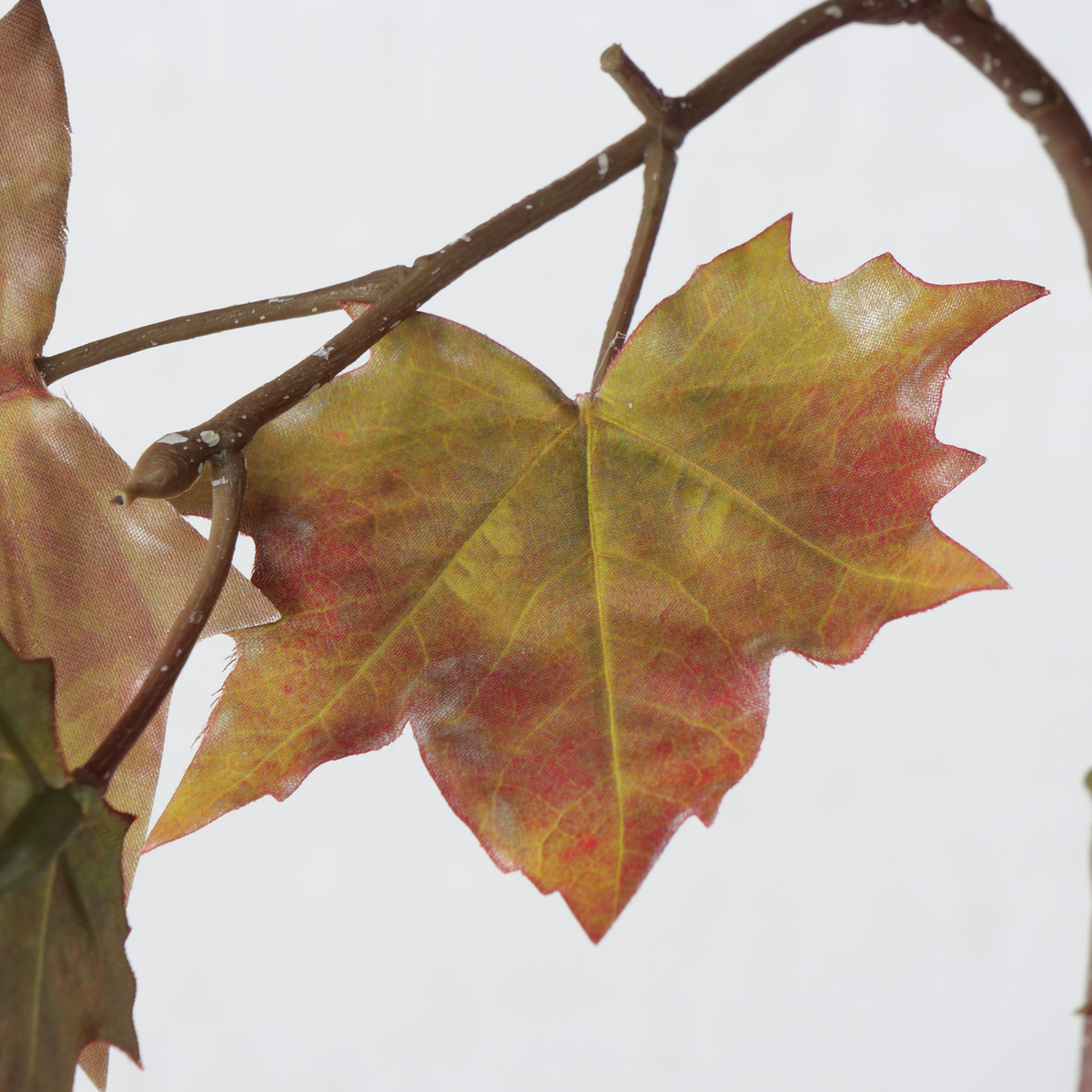 Dekozweig bei leitermann.de günstig kaufen Dekozweig