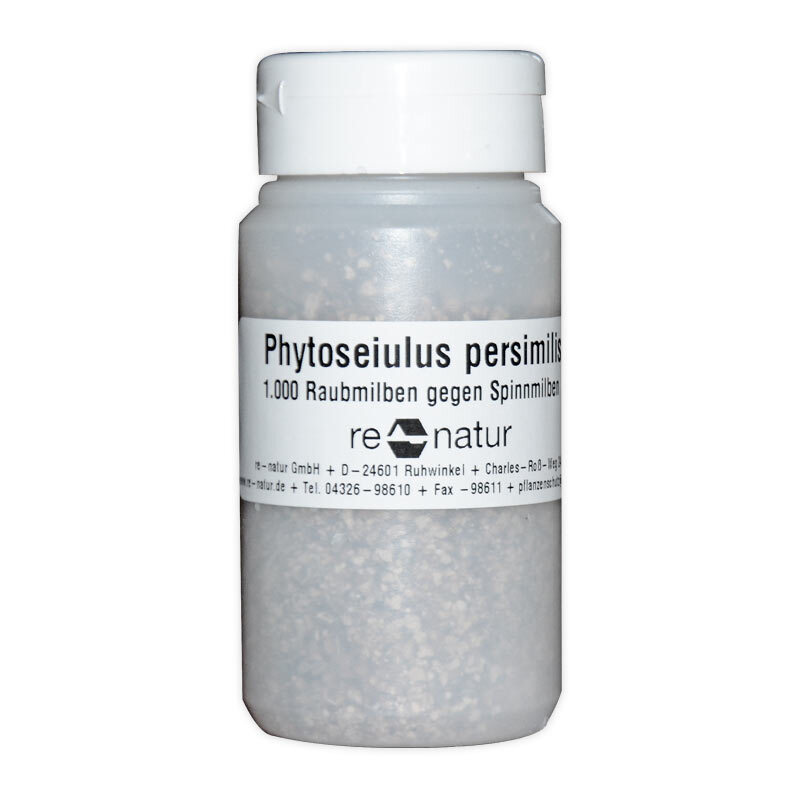 Phytoseiulus persimilis 1000 (Raubmilbe gegen Spinnmilben)