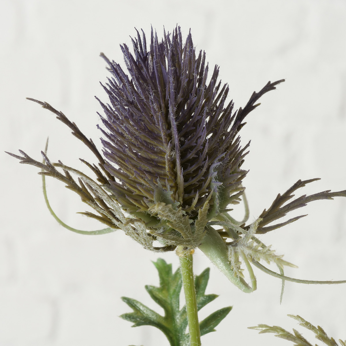 Dekozweig bei leitermann.de günstig kaufen Dekozweig