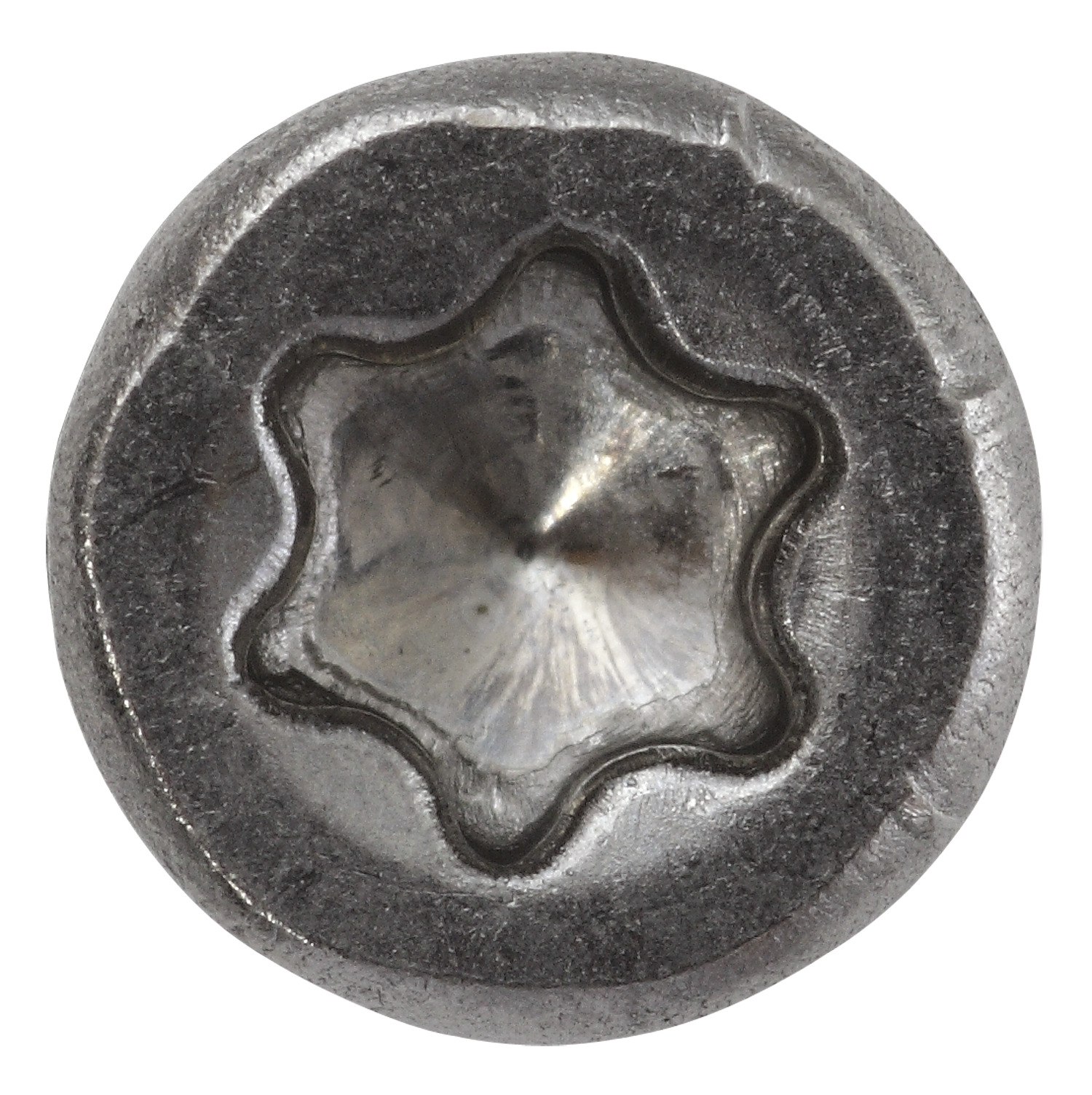 Zaunbauschraube Edelstahl